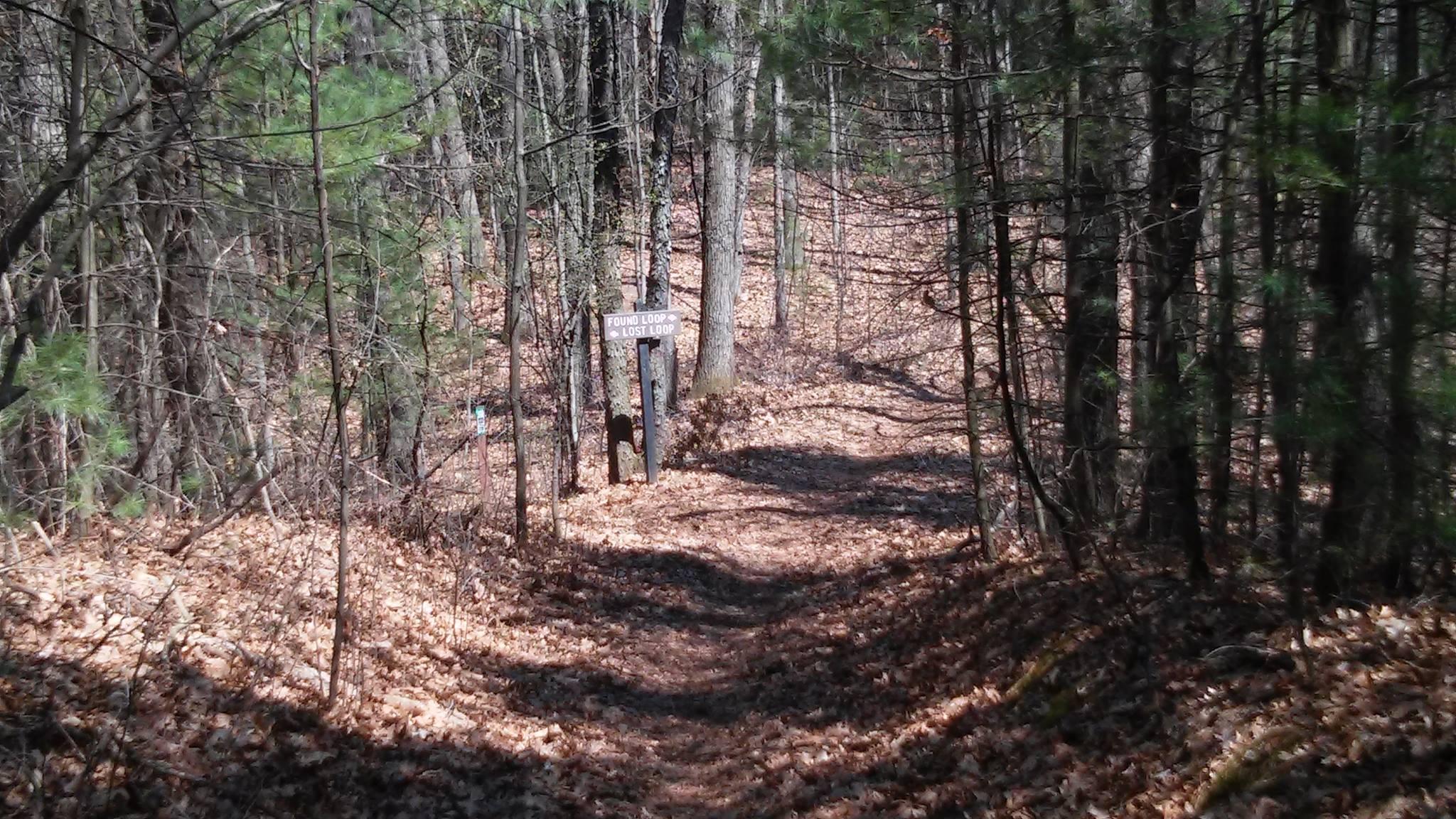 A wooded trail in a forest during autumn, covered with fallen leaves. A signpost indicating "Found Loop" and "Lost Loop" stands at the side of the path, which winds through the trees. Brighton Rec Area mountain bike trail.