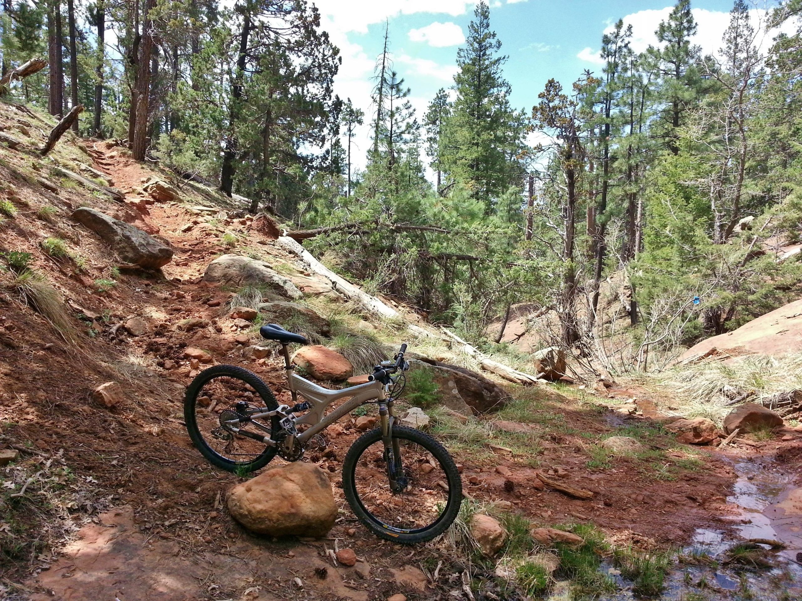 A mountain bike resting on a large rock along a dirt trail surrounded by tall pine trees. The path is lined with rocks and sparse grass, leading into a scenic forested area under a partly cloudy sky. Military Sinkhole Trail #966 mountain bike trail.