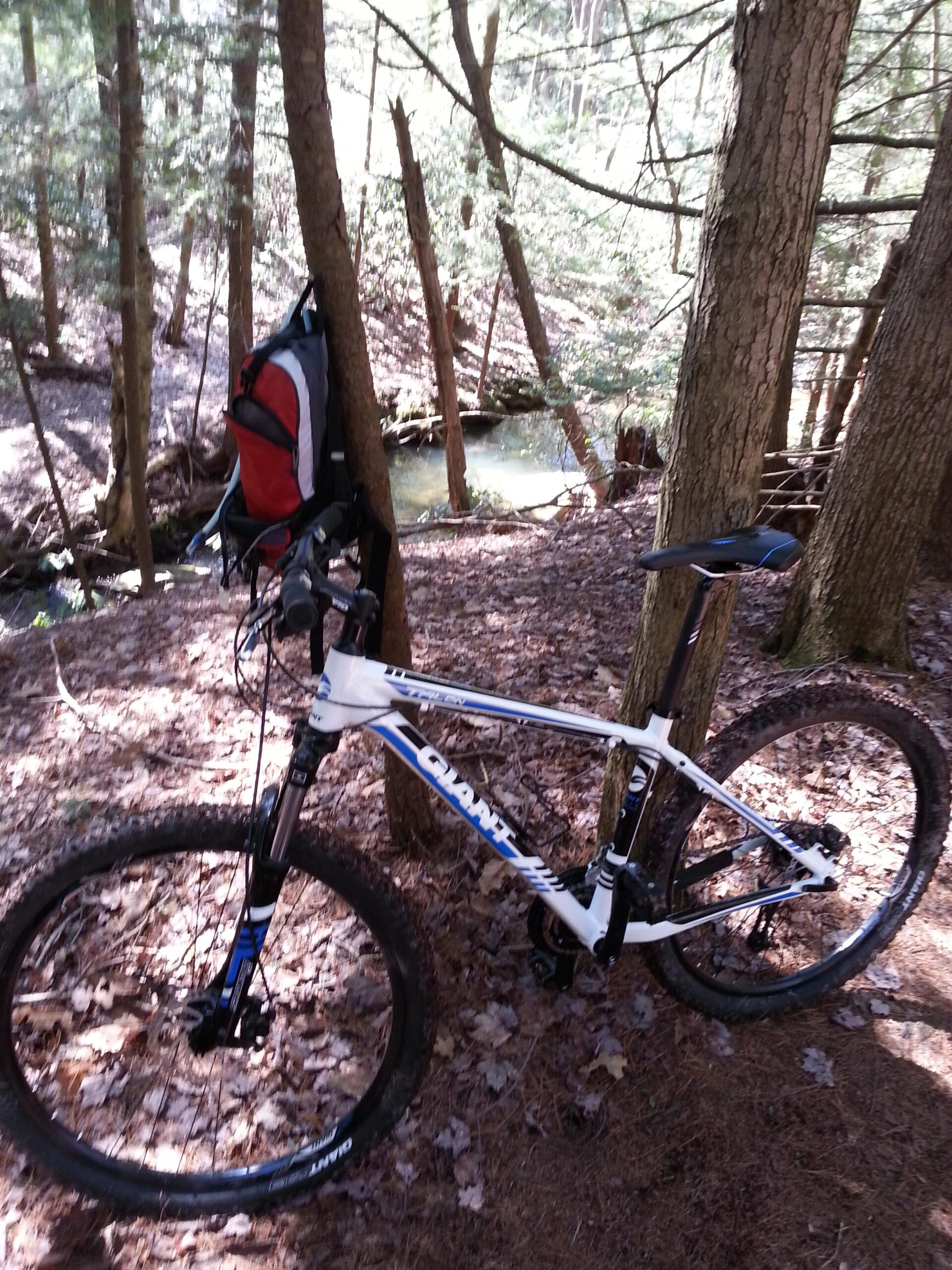 Giant Talon 27.5: A mountain bike with a white and blue frame is leaning against a tree in a wooded area, surrounded by fallen leaves and sparse underbrush. A red and black backpack hangs from the tree nearby, and a small creek is visible in the background, illuminated by dappled sunlight filtering through the trees.