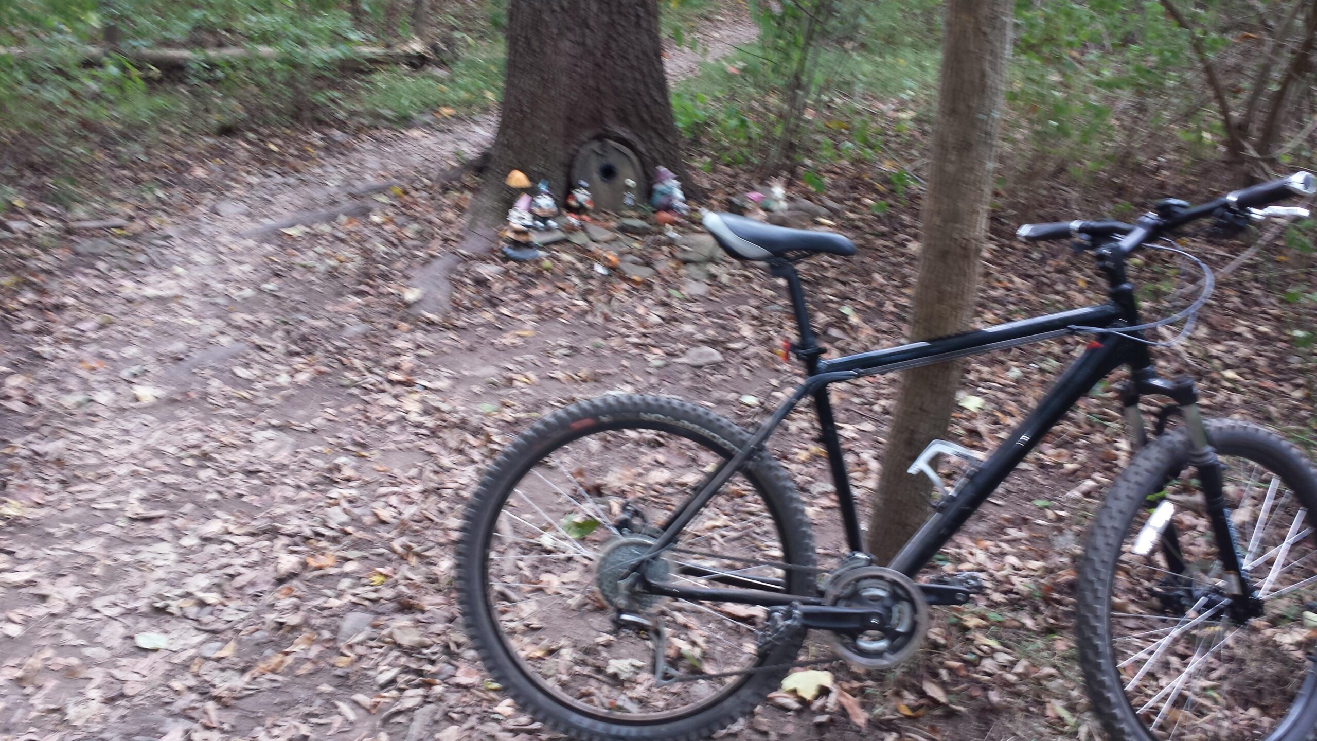 Nashbar AT-2: A black mountain bike resting on a dirt trail surrounded by fallen leaves, with a tree trunk in the background featuring a small, whimsical display of gnome figurines and a decorative entrance.