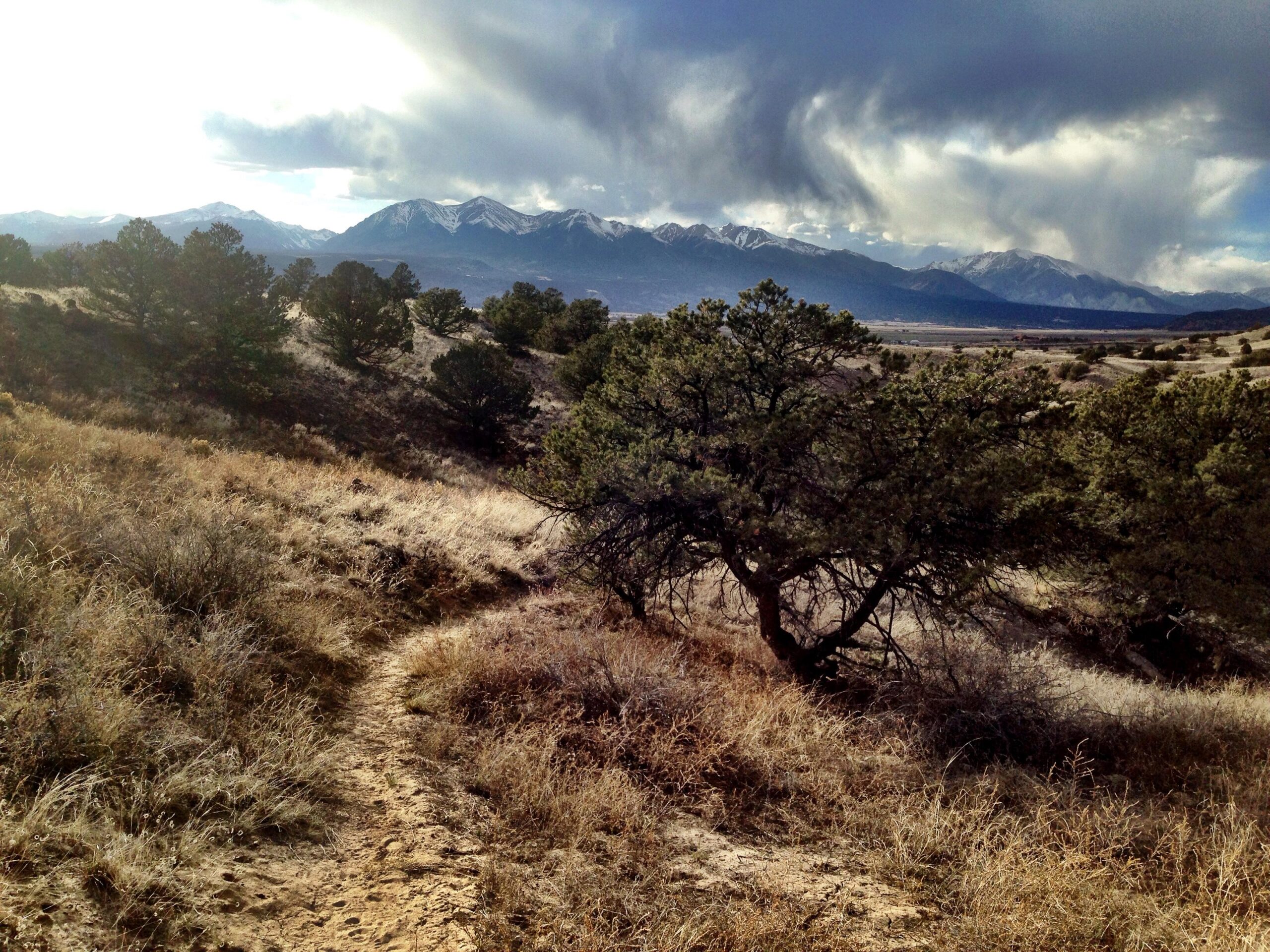 A winding dirt path leads through grassy terrain, framed by scattered bushes and trees. In the background, majestic snow-capped mountains rise under a dramatic sky with swirling clouds, creating a serene and picturesque landscape. Arkansas Hills mountain bike trail.