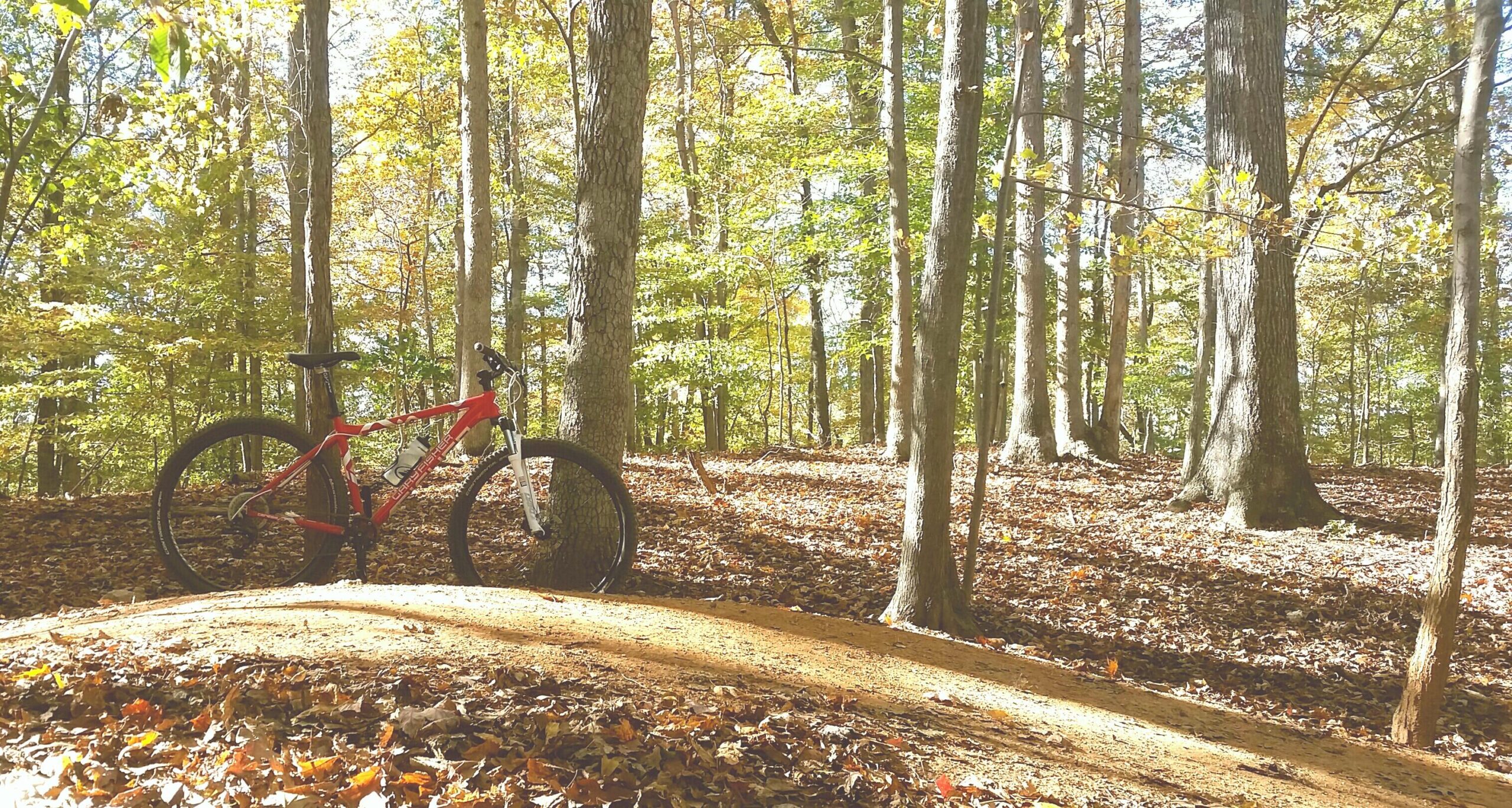 A red mountain bike parked beside a dirt trail in a sunlit forest, surrounded by trees with autumn leaves on the ground. Fountainhead Regional Park mountain bike trail.