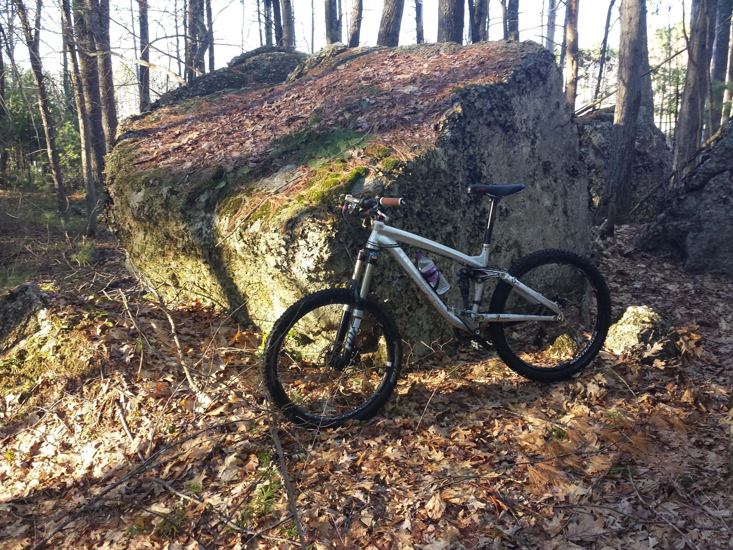 Trek Remedy 9: A mountain bike leaning against a large boulder in a forested area, surrounded by fallen leaves and scattered twigs. The scene is illuminated by natural sunlight filtering through the trees.