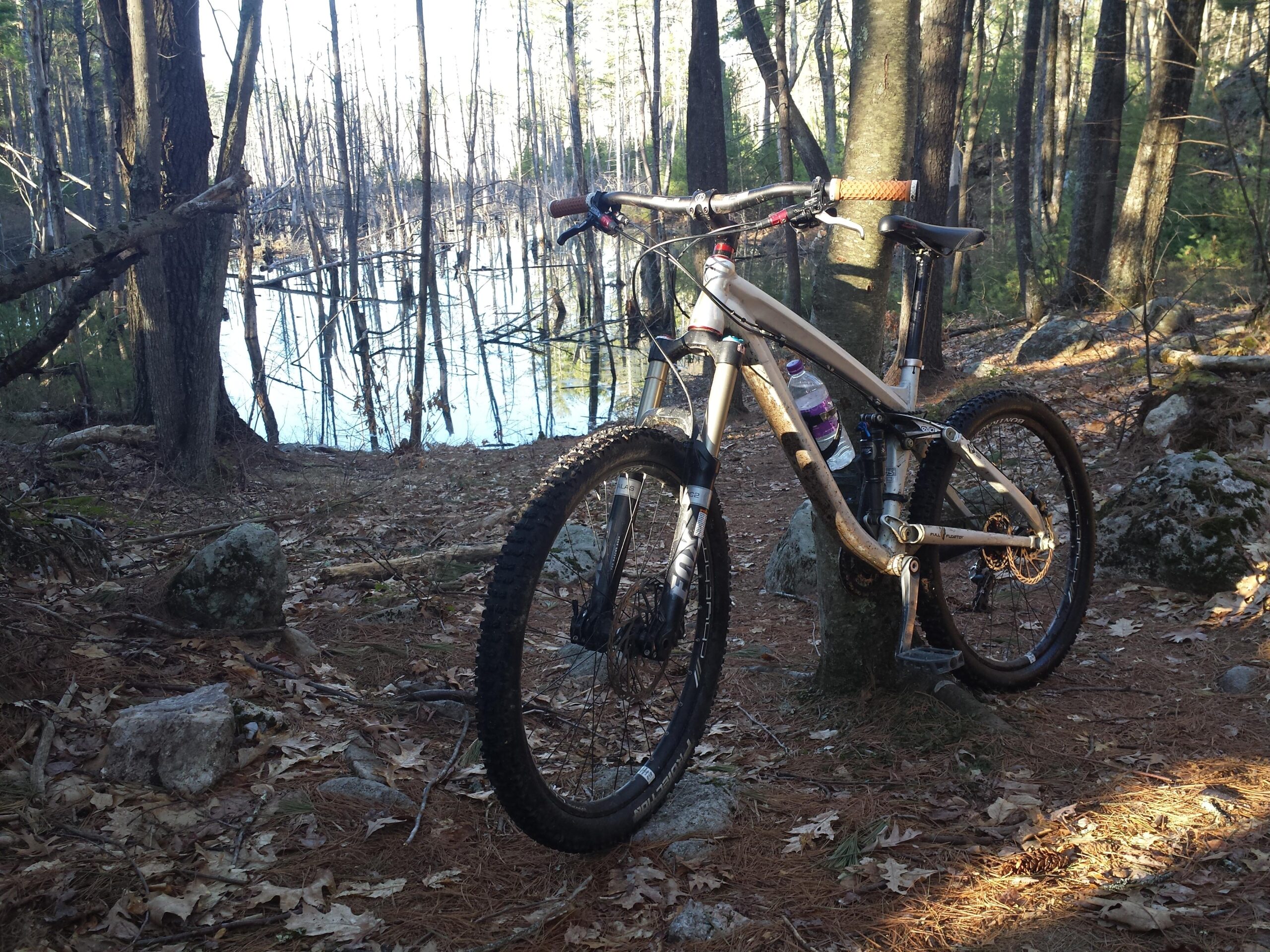 Trek Remedy 9: A mountain bike rests against a tree in a wooded area, surrounded by fallen leaves and rocks. In the background, a small pond reflects the trees, with some in the process of regrowth. The scene captures a serene moment in nature, ideal for outdoor enthusiasts.