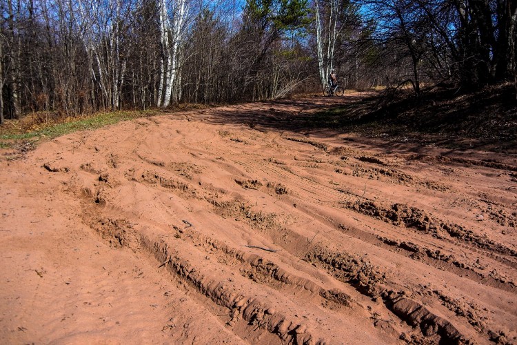 A sandy, uneven trail with tire tracks winding through a forested area. Bare trees and patches of grass are visible on either side of the trail, under a clear blue sky. A cyclist can be seen in the background navigating the terrain.