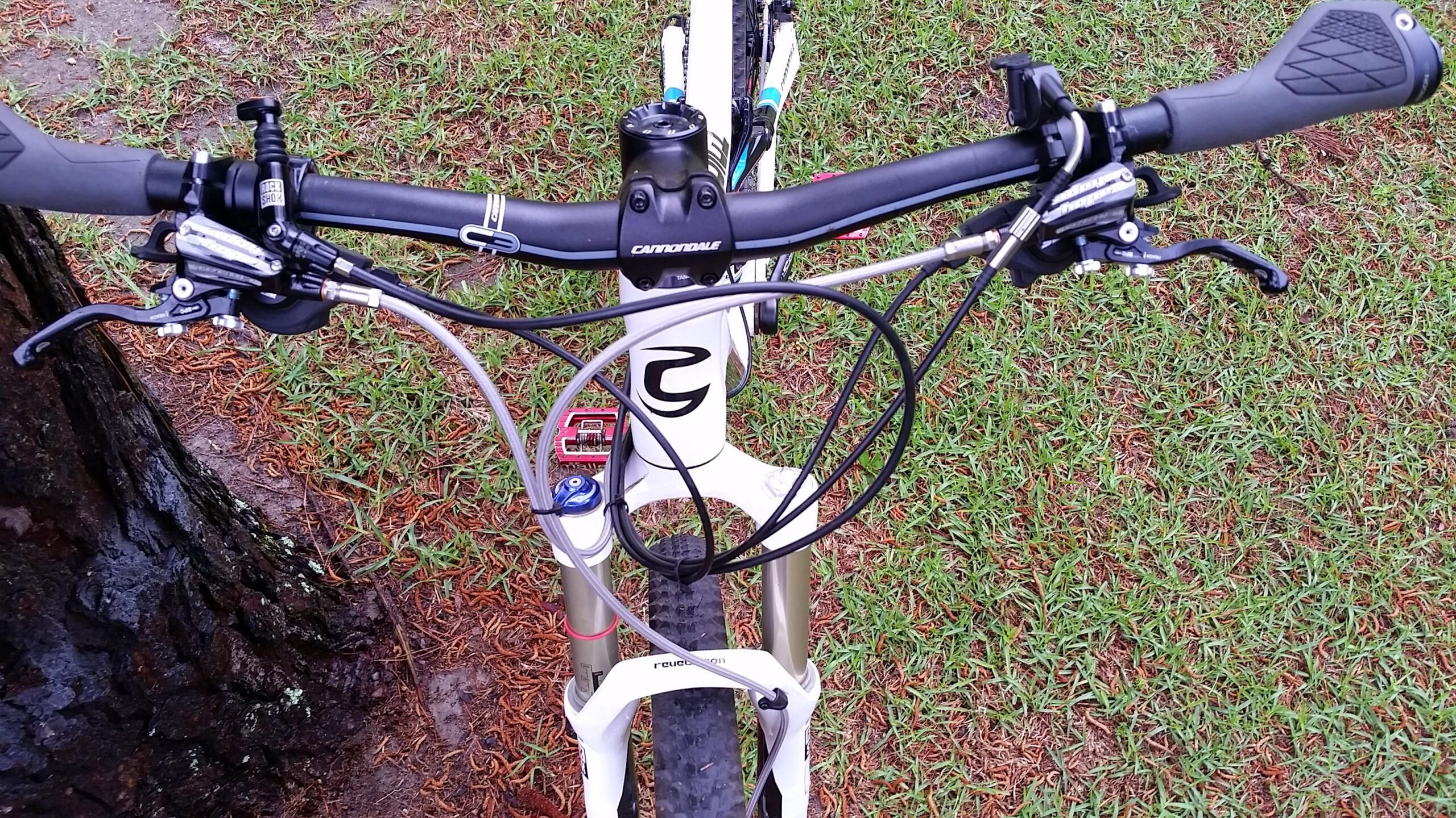 Cannondale Trigger 29 3: Image showing the top view of a mountain bike's handlebars, including the brake levers, gear shifters, and cables. The bike has a white frame and is positioned on grassy ground with brown pine needles scattered around.