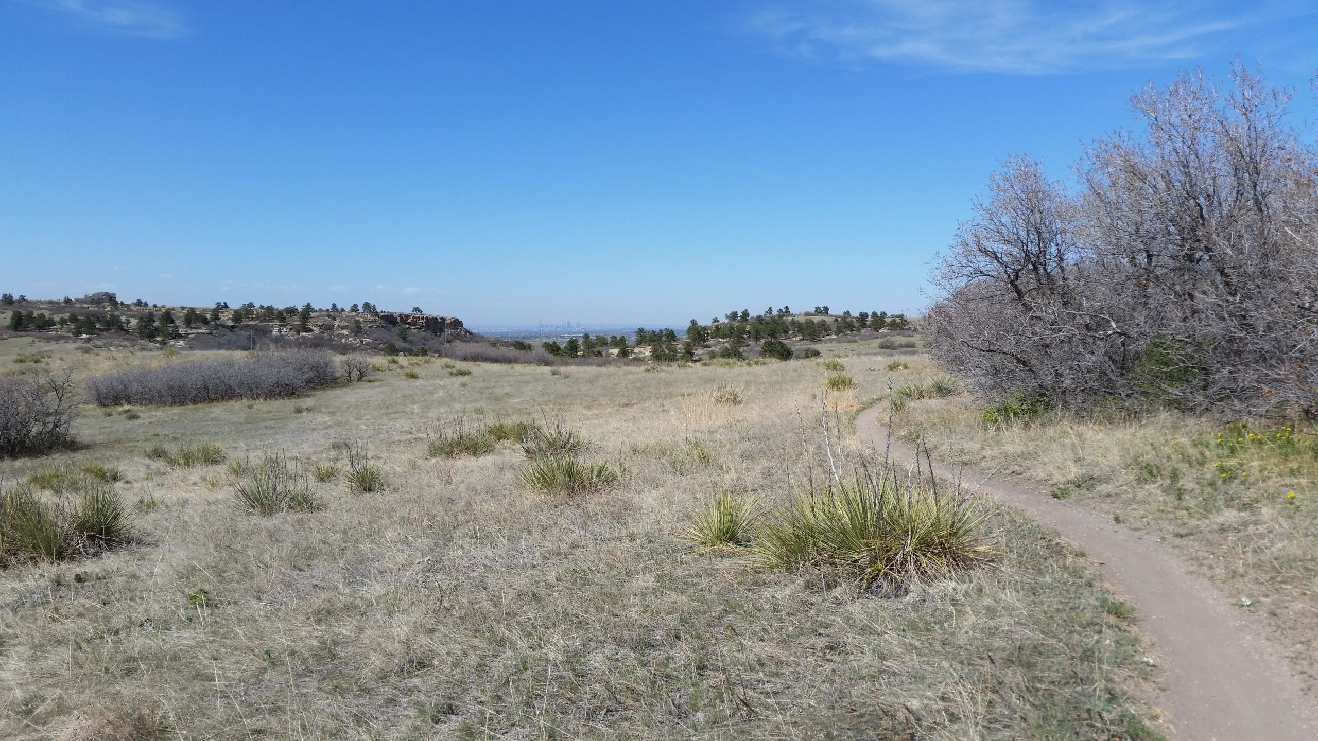 A scenic landscape featuring a winding dirt path through a grassy field, lined with sparse shrubs and scattered vegetation. In the distance, rolling hills are visible, with a clear blue sky overhead. The environment suggests a peaceful outdoor setting, ideal for hiking or nature walks. Wildcat Mountain / Monarch mountain bike trail.
