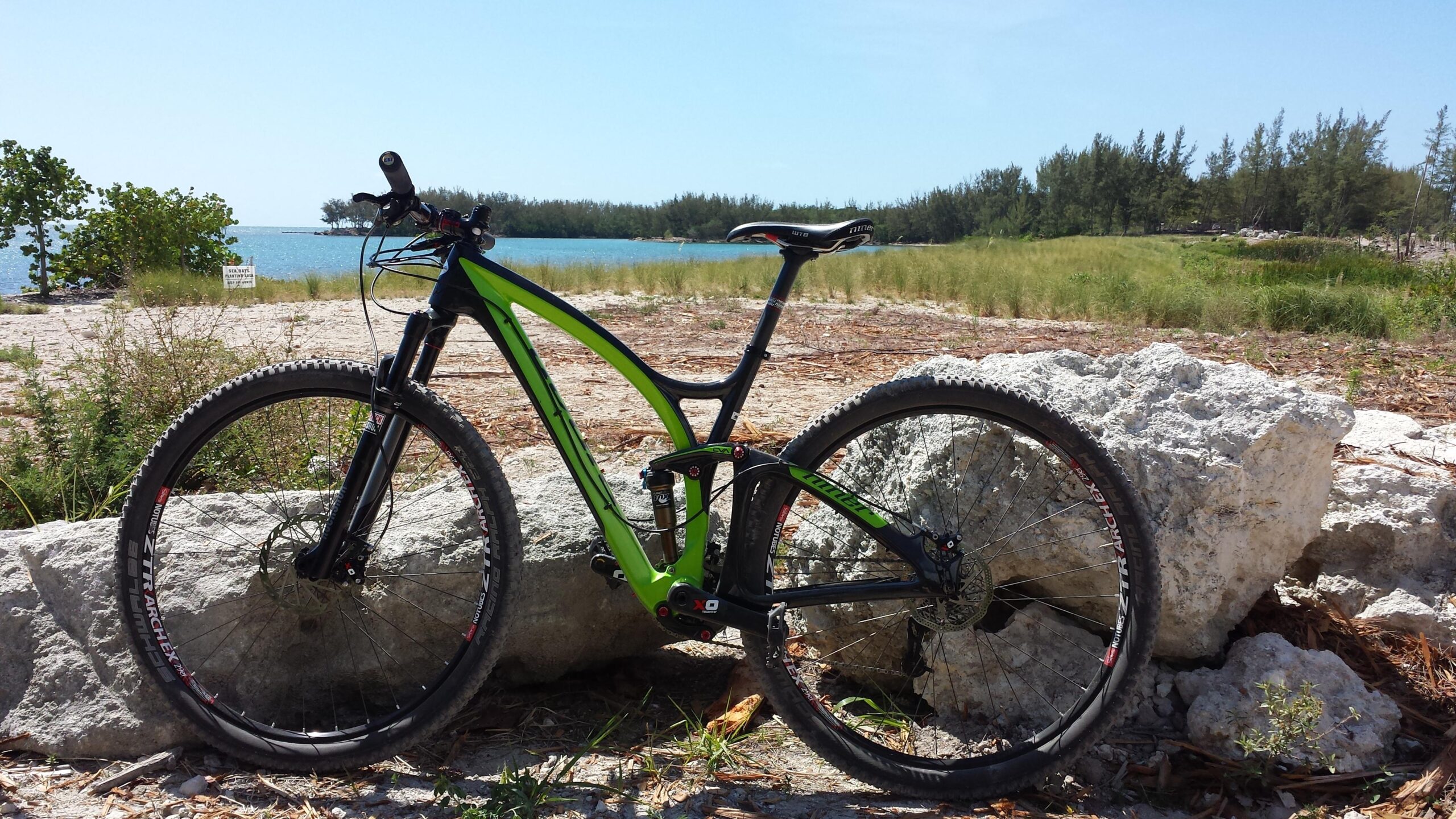 Niner R.I.P. 9 RDO: A mountain bike with a green and black frame is leaned against a large rock in a scenic outdoor setting. In the background, there is a body of water with trees along the shore, and a clear blue sky overhead. The foreground features sandy terrain and sparse vegetation.