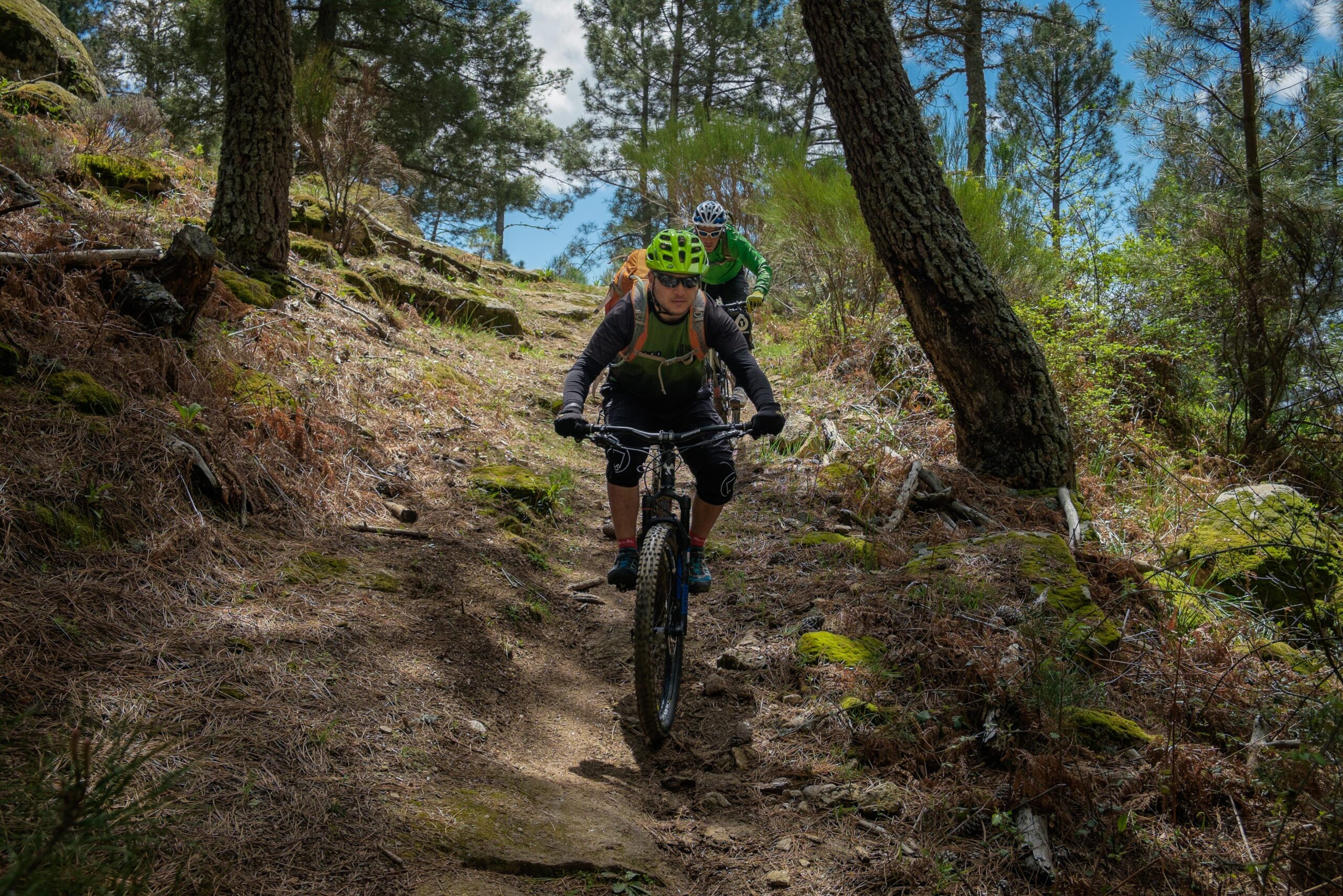 Nukeproof Mega: Two mountain bikers navigate a narrow, rocky trail surrounded by lush greenery and tall trees. One rider, wearing a bright yellow helmet and a backpack, is in the foreground, focused on the path ahead. The second biker, dressed in a green top, follows closely behind. The scene captures the essence of outdoor adventure and rugged trail riding.