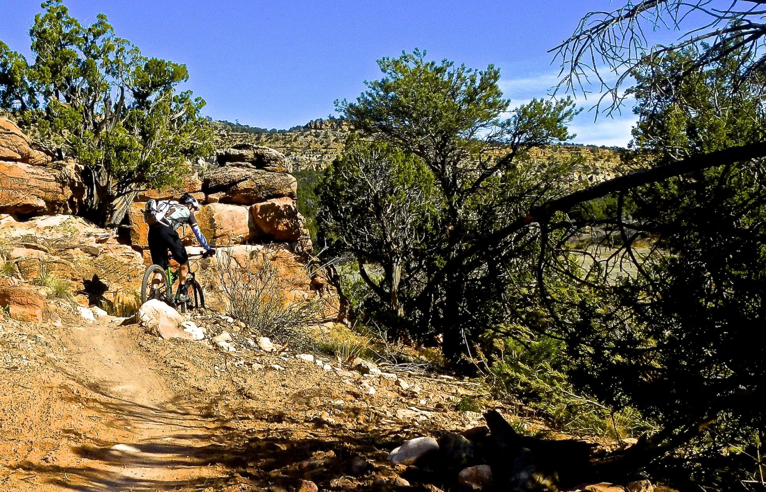 Motobecane NightTrain Bullet: A mountain biker navigates a rocky trail surrounded by shrubs and trees, with a clear blue sky above. The landscape features earthy tones and rugged terrain, highlighting the challenging conditions of the biking route.