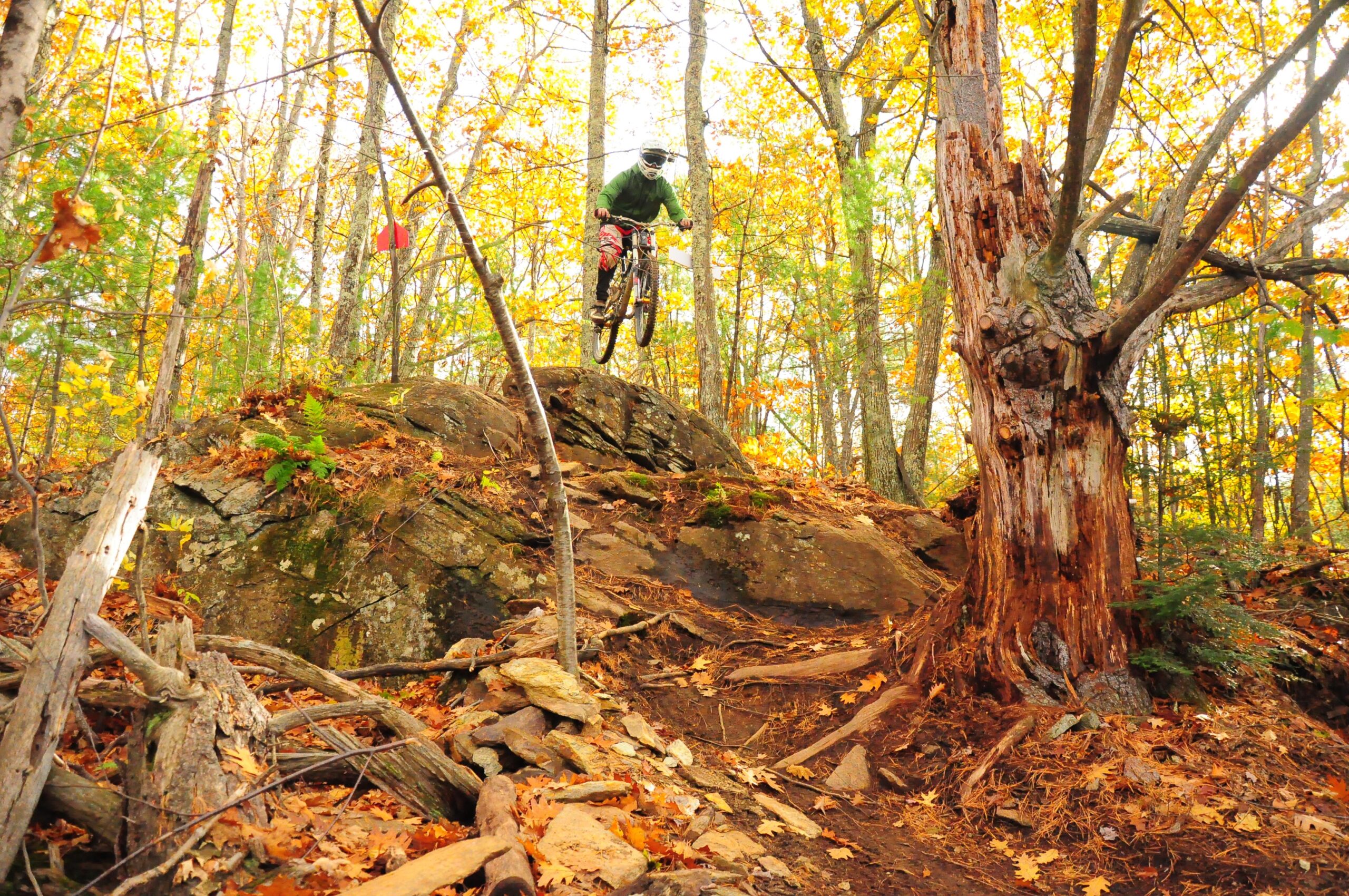 A mountain biker in protective gear is mid-air, leaping off a large rock formation in a wooded area filled with autumn foliage. The scene captures the thrill of the jump among vibrant yellow and orange leaves, with a backdrop of trees and exposed roots. Highland Mountain Bike Park mountain bike trail.