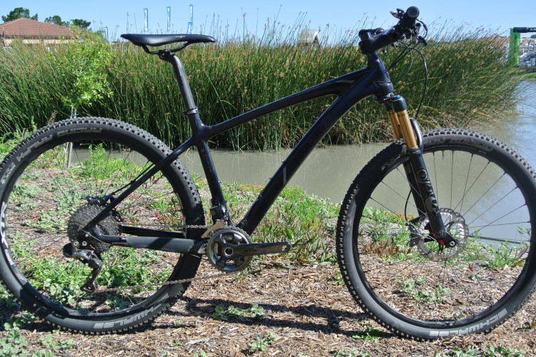 A black mountain bike with thick tires stands on a patch of grass next to a body of water. In the background, tall green reeds and a residential building are visible under a clear blue sky. The bike features a dual suspension system and a sleek design, indicating it is built for off-road riding.