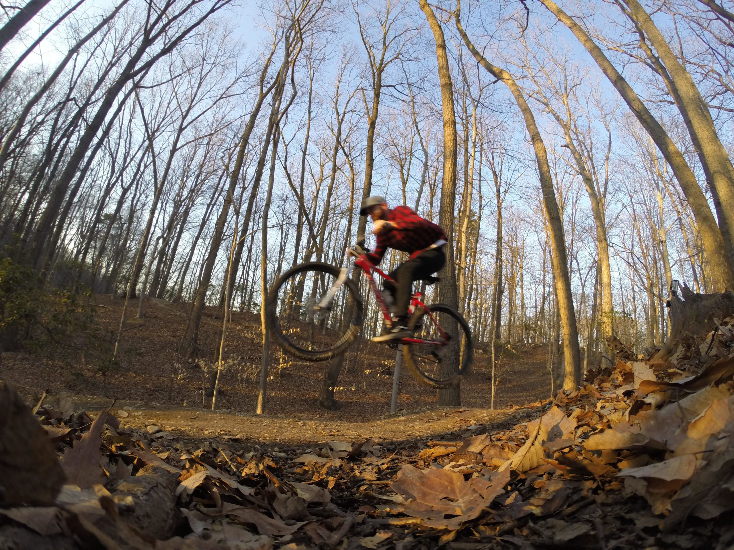 A mountain biker jumps over a dirt trail surrounded by trees in a wooded area during the fall, with fallen leaves scattered on the ground. The biker wears a red and black flannel shirt and a helmet, captured mid-air with the bike's front wheel lifted off the ground. Laurel Hill Park mountain bike trail.