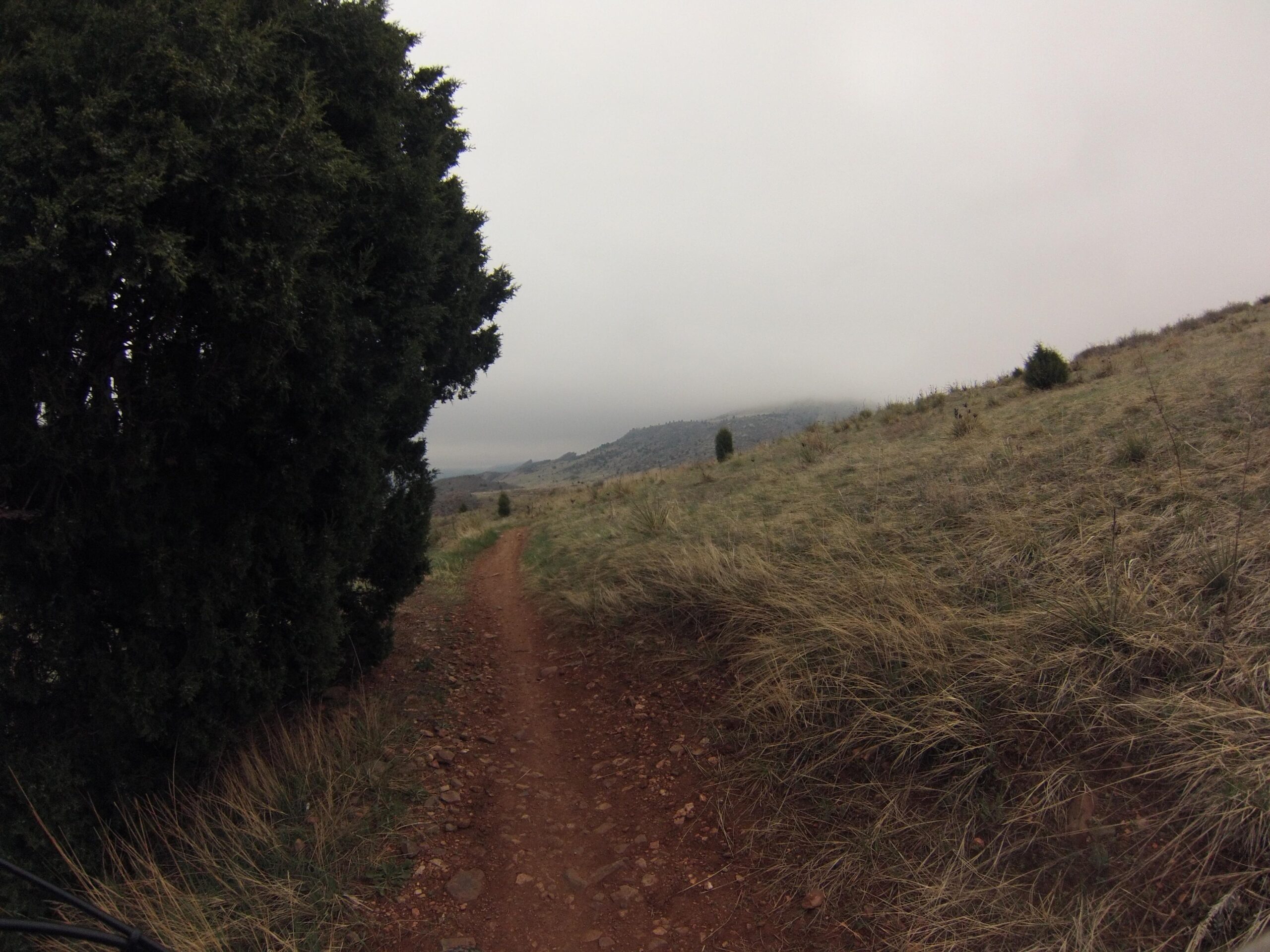 A narrow dirt trail winding through a grassy landscape, flanked by greenery on the left side. The sky is overcast, with low-hanging clouds obscuring the distant hills in the background. Red Rocks / Dakota Ridge mountain bike trail.