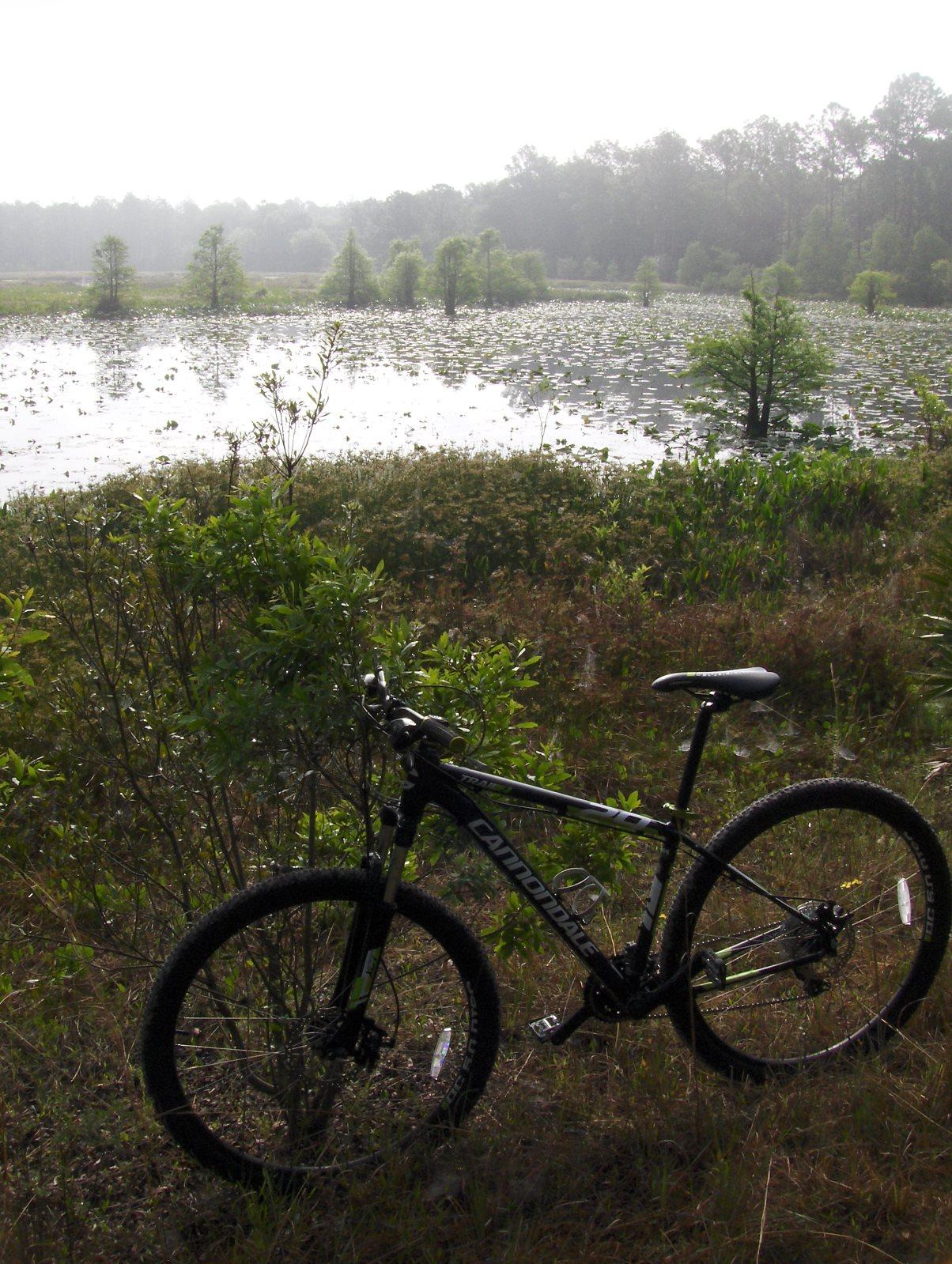 Cannondale Trail: A mountain bike resting on the ground in a grassy area, with a tranquil lake in the background covered in lily pads. The scene is surrounded by lush greenery and trees, under a misty sky.
