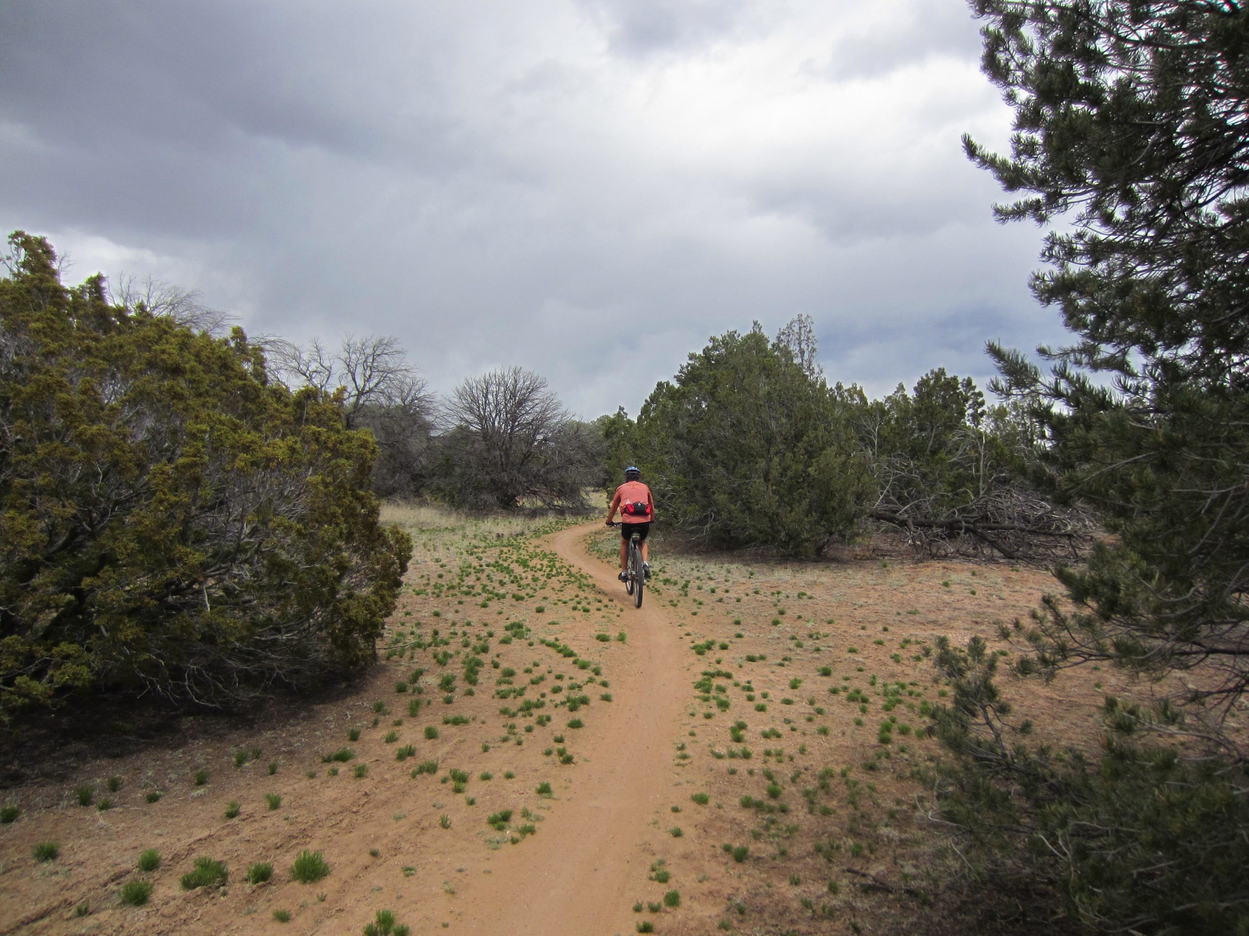 A cyclist rides along a sandy trail surrounded by low shrubs and trees under a cloudy sky, conveying a sense of adventure in a natural landscape. La Tierra mountain bike trail.