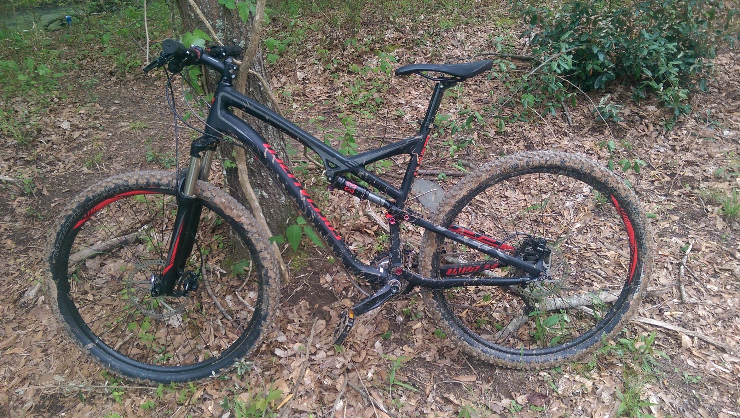 A black mountain bike with red accents resting against a tree in a wooded area. The bike is covered in mud, suggesting recent use on a trail. Surrounding the bike are patches of green foliage and fallen leaves. Sope Creek mountain bike trail.