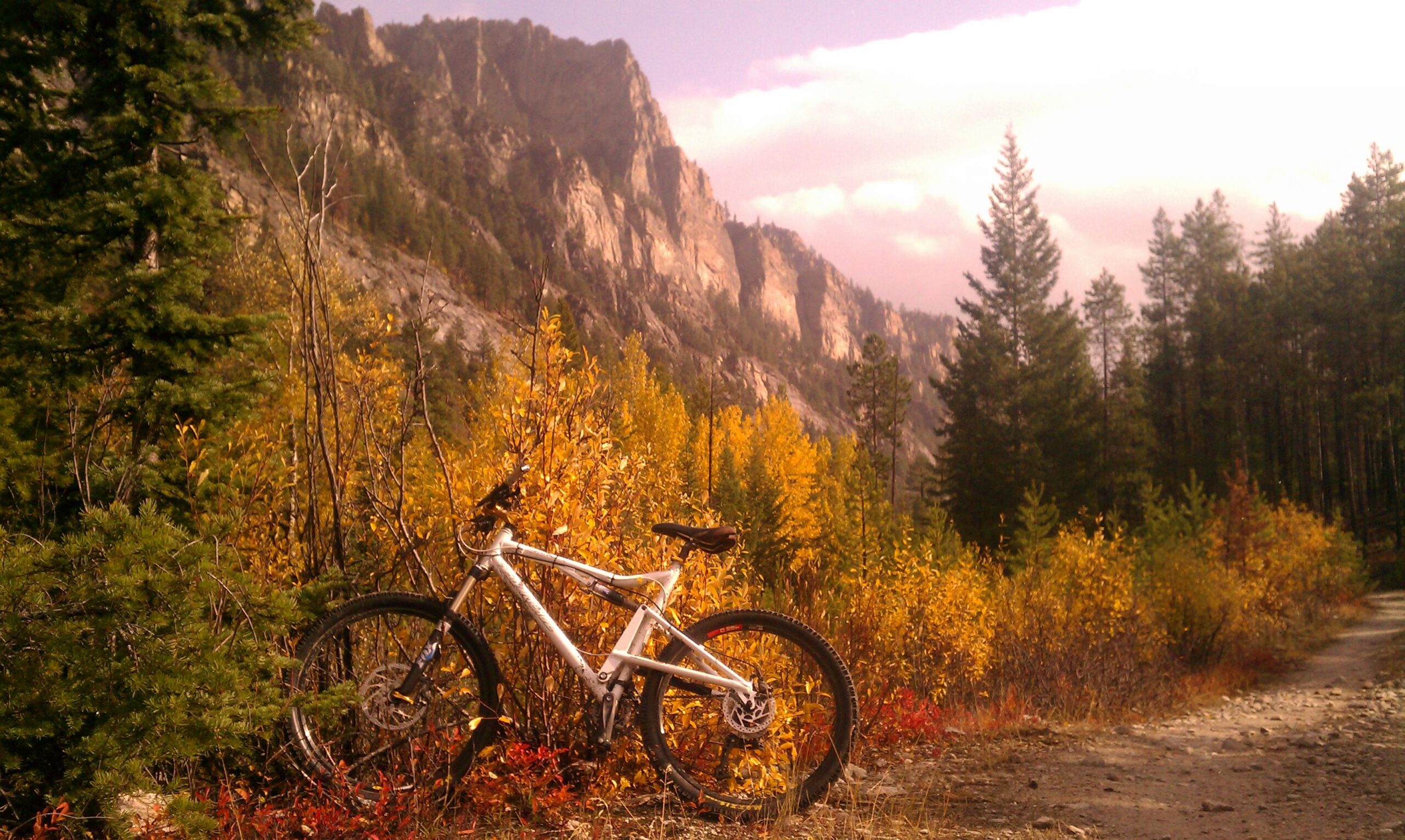 Santa Cruz Heckler: A mountain bike leaning against a bush, surrounded by vibrant autumn foliage in shades of yellow and orange, with rocky mountain peaks in the background under a cloudy sky.