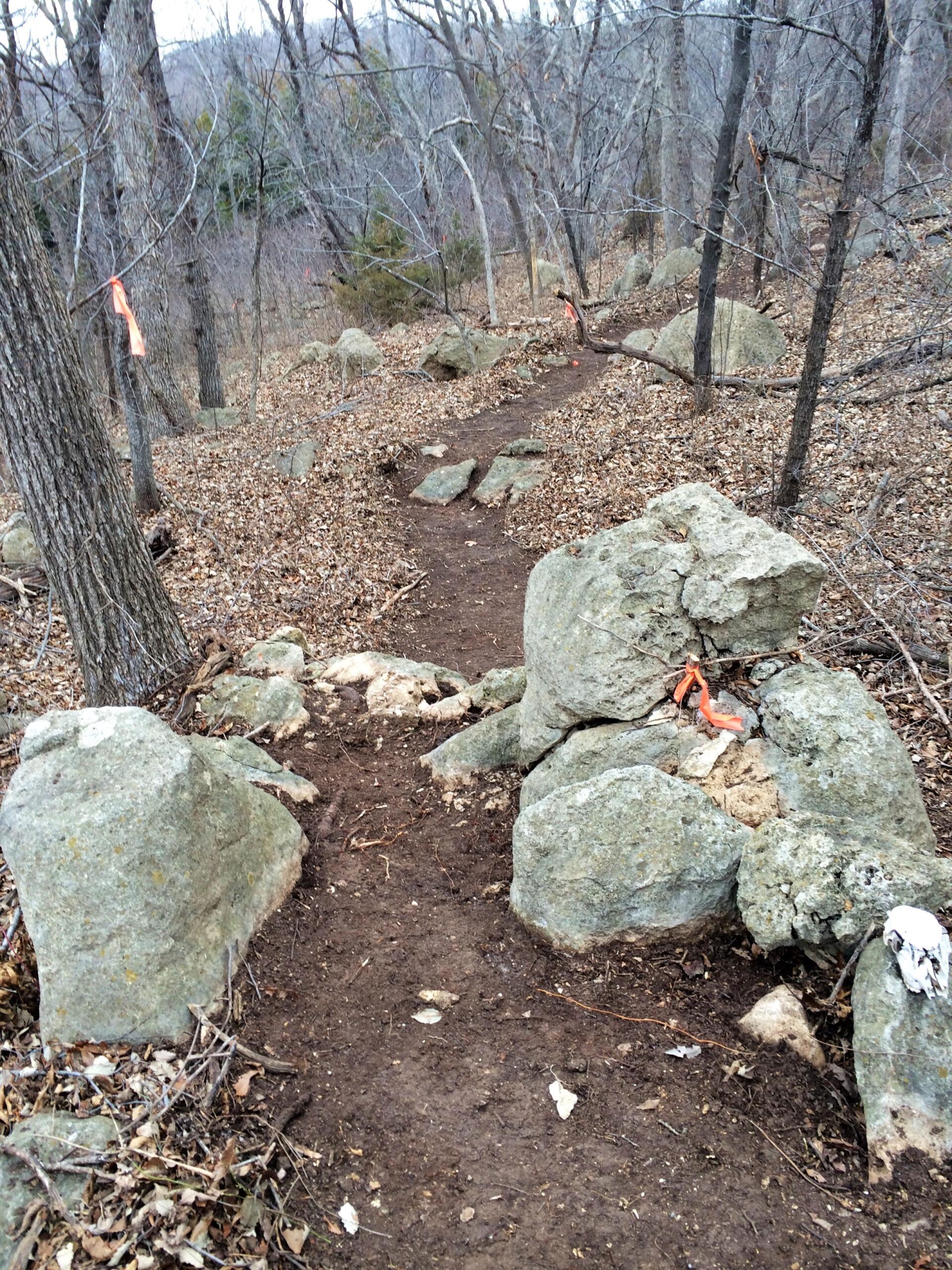 A narrow dirt trail winding through a wooded area, bordered by large rocks and scattered leaves. The trail is marked with orange flags, indicating a pathway among the trees, which are bare of leaves. Camp Horizon mountain bike trail.