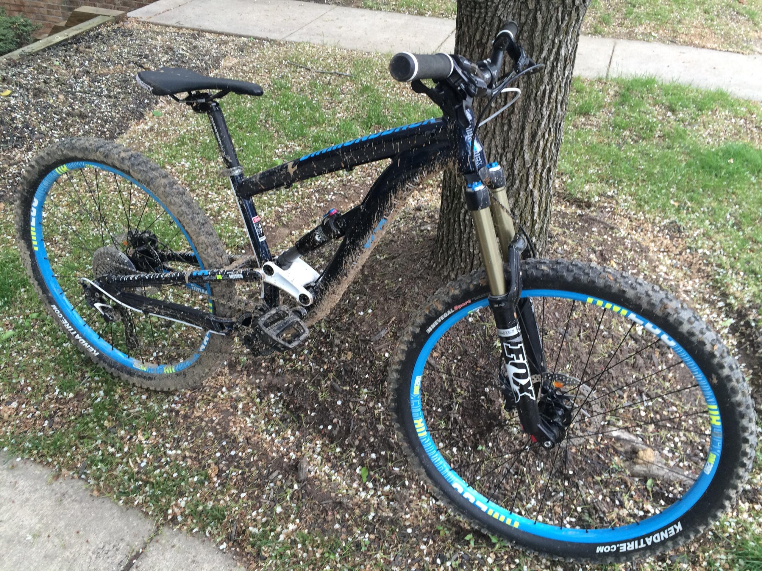 Diamondback Mission 1: A mountain bike with a black frame and blue accents, resting against a tree. The bike appears muddy, indicating recent use on a trail. The tires are knobby and designed for off-road riding, and the ground around the bike is a mix of grass and small pebbles.
