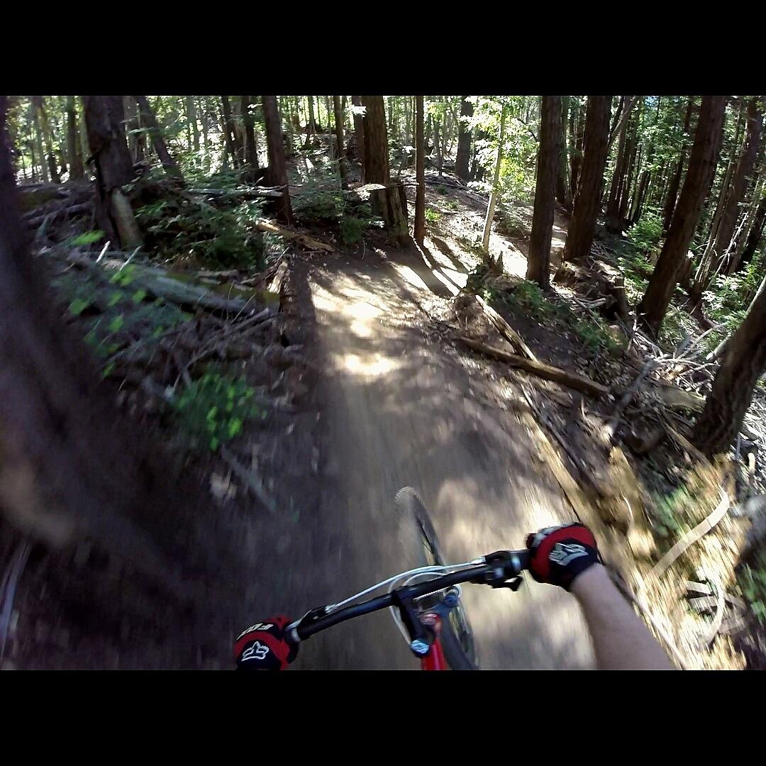 Gary Fisher Mamba: A first-person perspective of a mountain bike riding down a dirt trail through a dense forest. The handlebars are visible in the foreground, with trees and sunlight filtering through the foliage in the background, creating a sense of speed and adventure.
