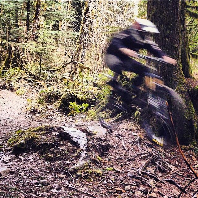 A mountain biker jumps over a log on a narrow trail surrounded by trees and greenery, with motion blur indicating speed. Cold Creek mountain bike trail.