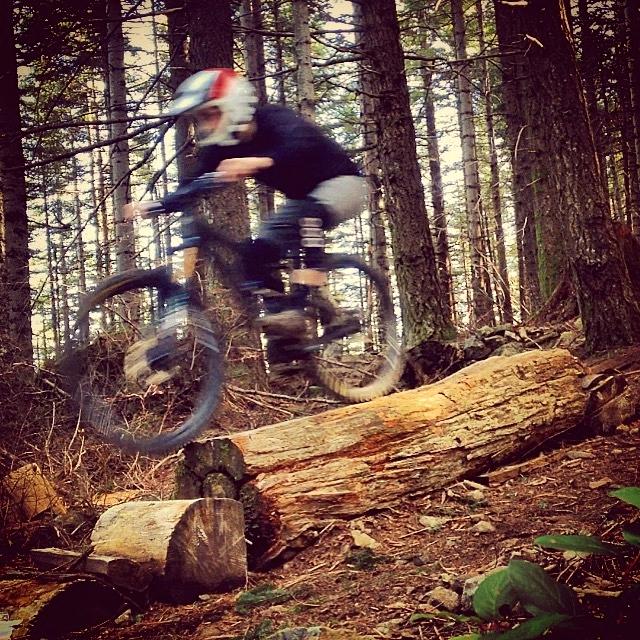 A mountain biker in motion jumps over a log in a wooded forest setting, surrounded by tall trees and underbrush. The rider is wearing a helmet and appears to be navigating rugged terrain. Cold Creek mountain bike trail.