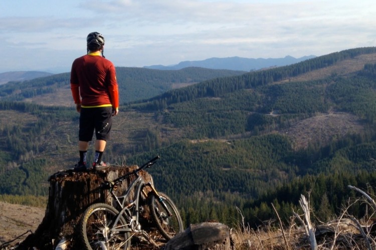 A mountain biker stands on a tree stump overlooking a scenic view of rolling hills and dense forests. The rider is dressed in a long-sleeved red jersey and black shorts, with a mountain bike resting beside the stump. The landscape features a mix of green coniferous trees and open areas, under a partly cloudy sky.