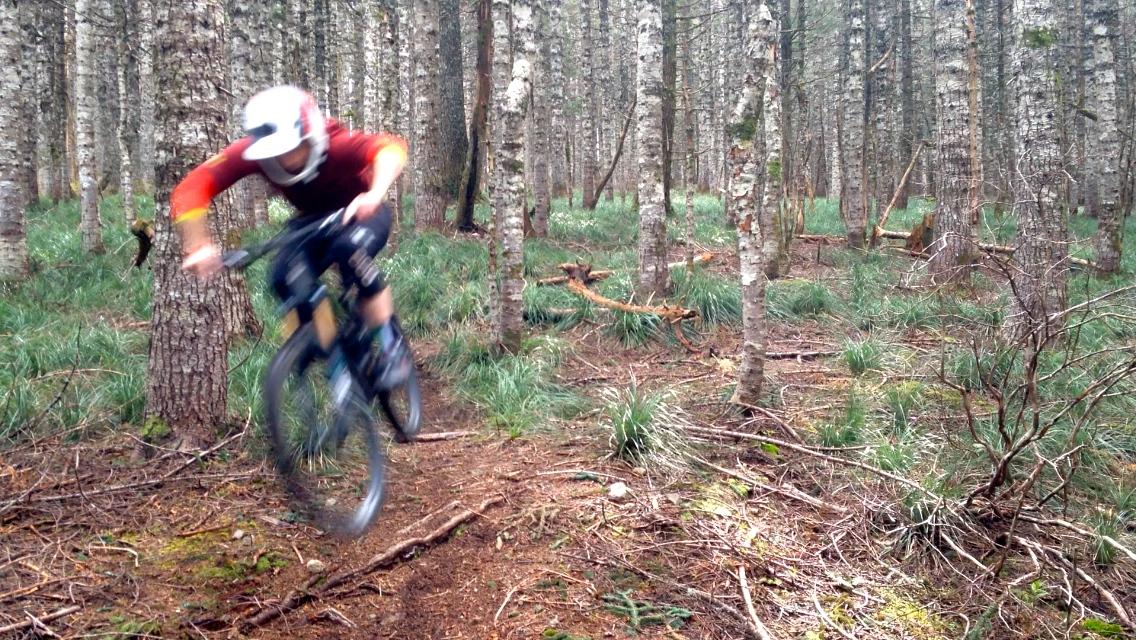 A person in a red and black outfit riding a mountain bike through a forest, with trees and green undergrowth in the background. The rider appears to be airborne, showcasing an action shot of biking on a trail. Cold Creek mountain bike trail.