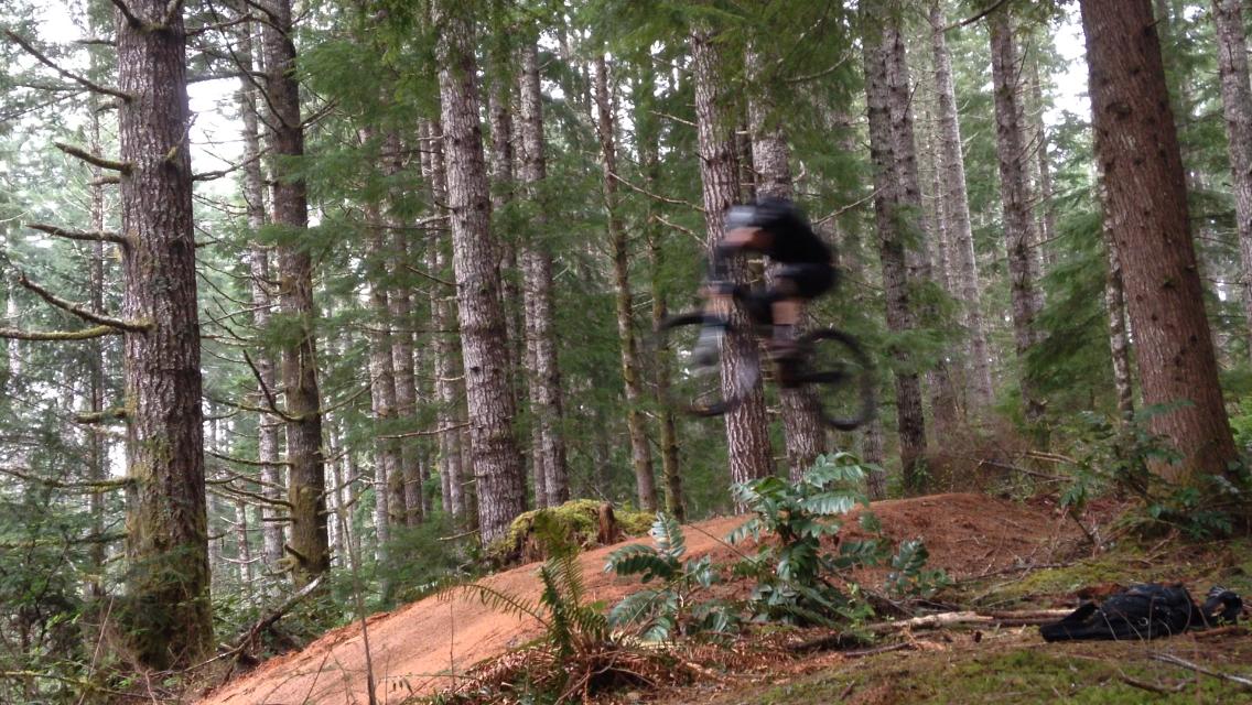 A mountain biker performs a jump on a dirt ramp in a forested area, surrounded by tall trees and lush greenery. The biker is captured in mid-air, showcasing the action and excitement of the ride. Alsea Falls Recreation Site mountain bike trail.