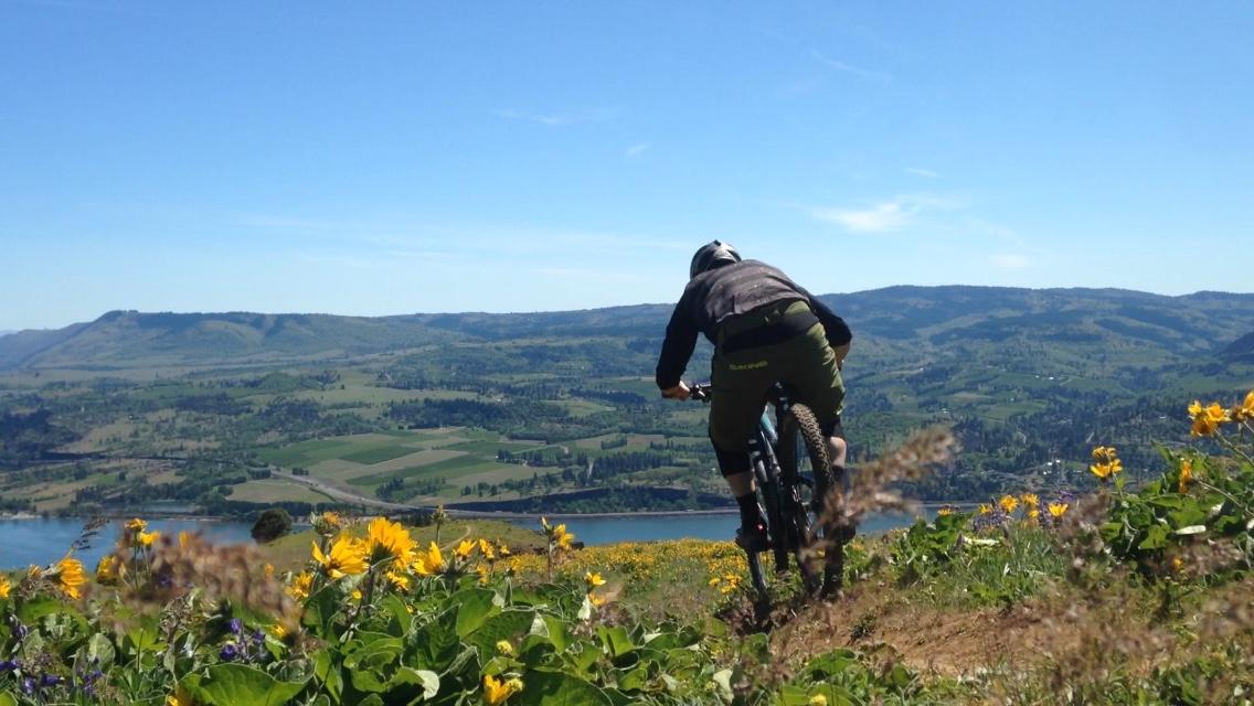 A mountain biker descends a hillside adorned with vibrant yellow wildflowers, showcasing a lush green landscape and a river below. The scene captures a clear blue sky and rolling hills in the background, emphasizing the beauty of outdoor adventure. Syncline mountain bike trail.
