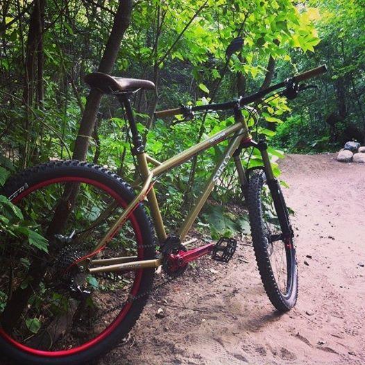 Surly Instigator: A mountain bike leaning against a tree in a lush green forest. The bike features a gold frame, red rims, and is positioned on a sandy path surrounded by greenery.
