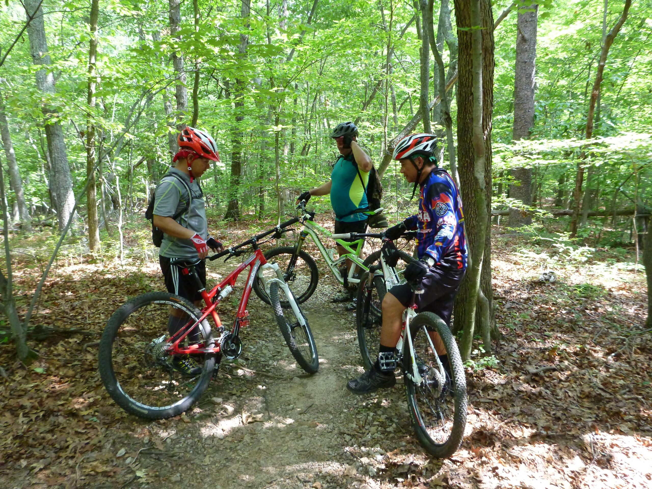 Three mountain bikers pause on a dirt trail in a lush green forest. They are wearing helmets and biking gear, with two bikes parked beside them. The surrounding trees are vibrant with foliage, creating a serene nature backdrop. Country Park mountain bike trail.
