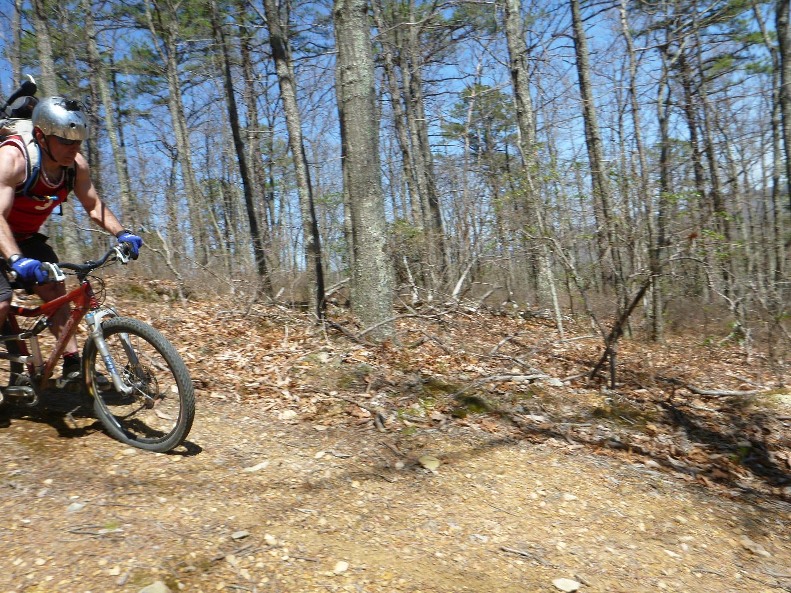 A mountain biker wearing a helmet and gloves rides along a dirt path through a wooded area with trees and sparse foliage, showcasing a sunny day with clear blue skies. Carvin's Cove Trail system mountain bike trail.
