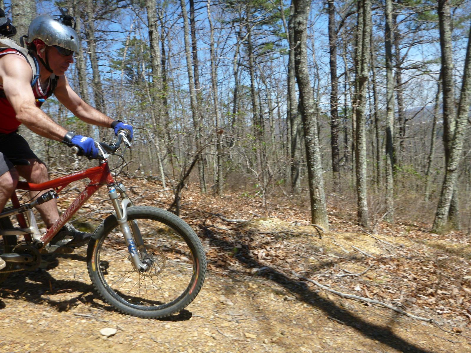 A cyclist riding a mountain bike on a dirt trail surrounded by trees. The rider is wearing a helmet and gloves, and is focused on navigating the path through a wooded area on a sunny day. Carvin's Cove Trail system mountain bike trail.