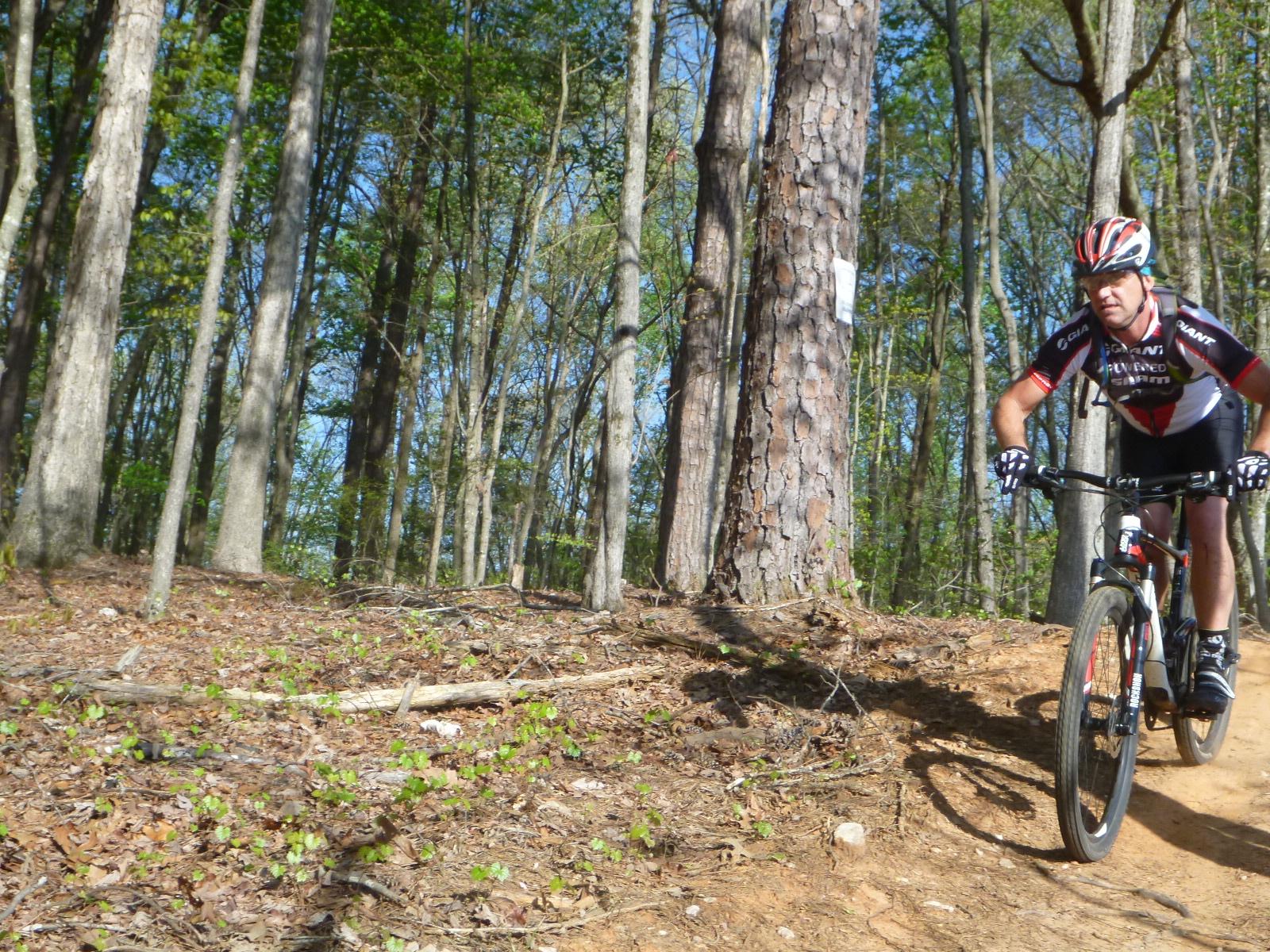 A mountain biker navigating a dirt trail through a wooded area, surrounded by tall trees and greenery. The cyclist is wearing a helmet and riding gear, focusing intently as they maneuver along the path. Sunlight filters through the leaves, illuminating the scene. San-lee Park mountain bike trail.