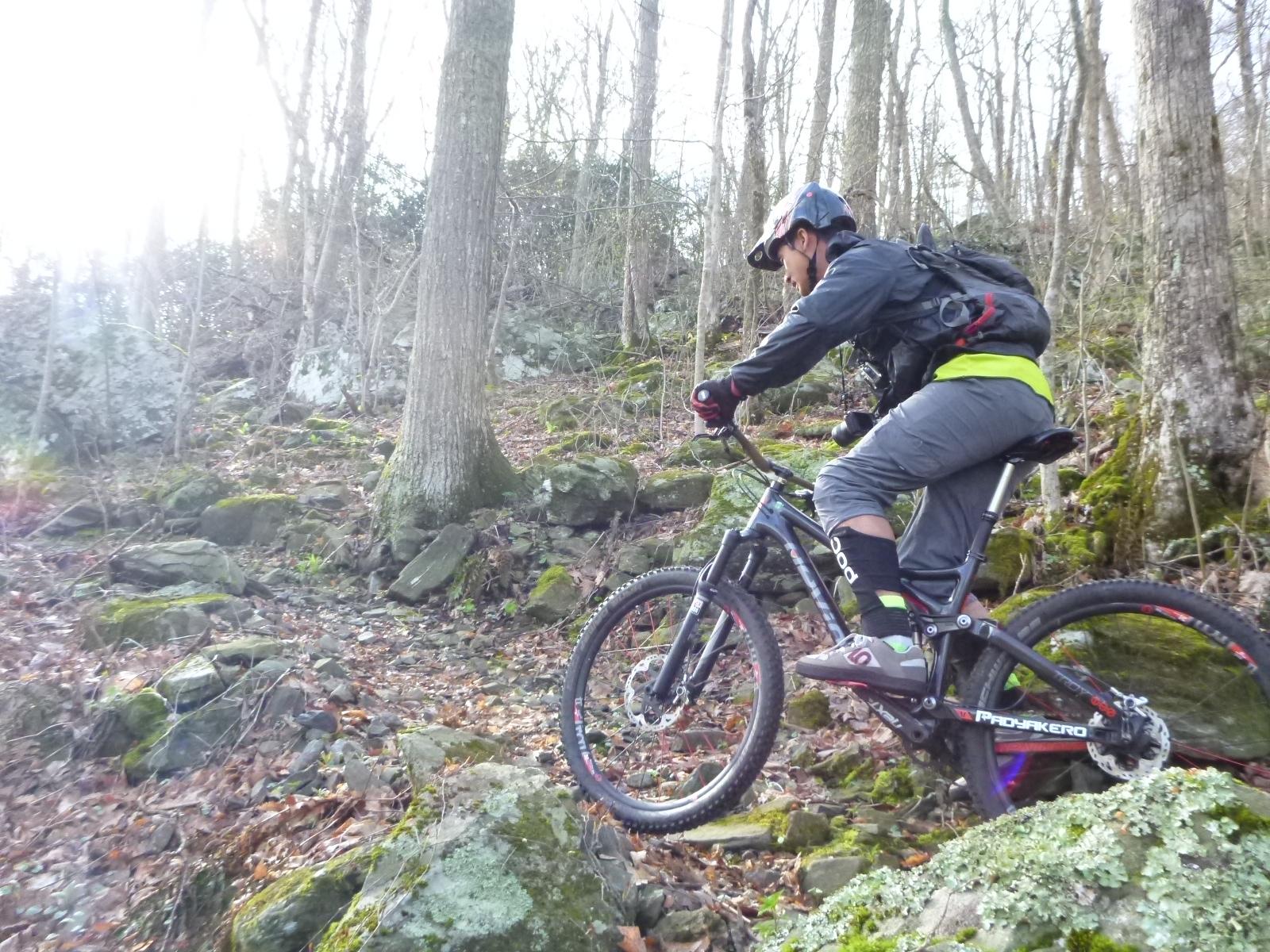 A mountain biker navigating a rocky trail in a forested area, wearing a helmet and biking gear, with trees and moss-covered rocks in the background. The sunlight filters through the trees, illuminating the scene. Rocky Knob Park mountain bike trail.