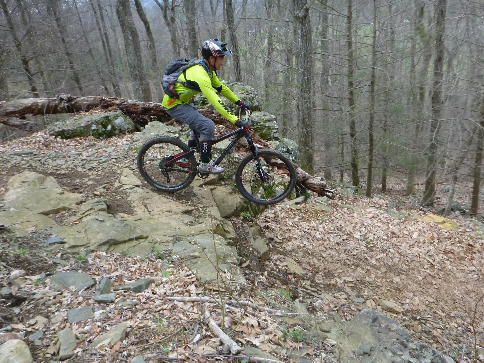 A mountain biker skillfully navigating a rocky trail in a wooded area, with trees and fallen leaves in the background. The cyclist is wearing a bright yellow jacket and a helmet, demonstrating an adventurous stance as they ride over the terrain. Rocky Knob Park mountain bike trail.