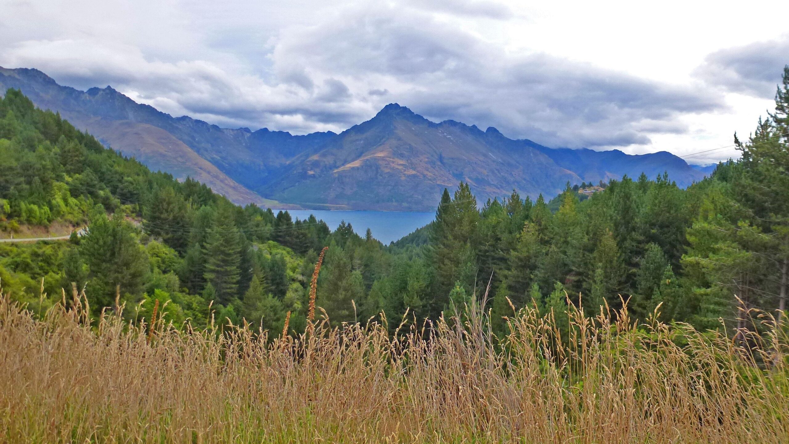 A picturesque landscape featuring a lake surrounded by mountains, with lush green forests in the foreground. The sky is partially cloudy, and tall grasses sway gently at the front, creating a serene and natural scene. Moonlight Circuit mountain bike trail.