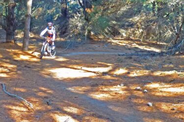 A mountain biker riding along a dirt trail in a forested area with pine trees and scattered pine needles on the ground. The sunlight filters through the trees, creating a dappled effect on the trail. Dean's Bank Track mountain bike trail.