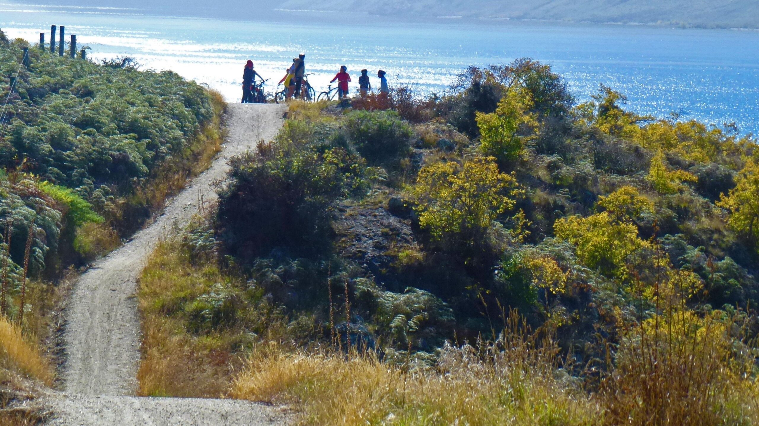 A scenic view of a dirt path winding along a hillside, with several people in the background gathered near bicycles. The path is surrounded by lush greenery and colorful foliage, and a sparkling body of water is visible in the distance under clear skies. Glendhu Bay Track mountain bike trail.