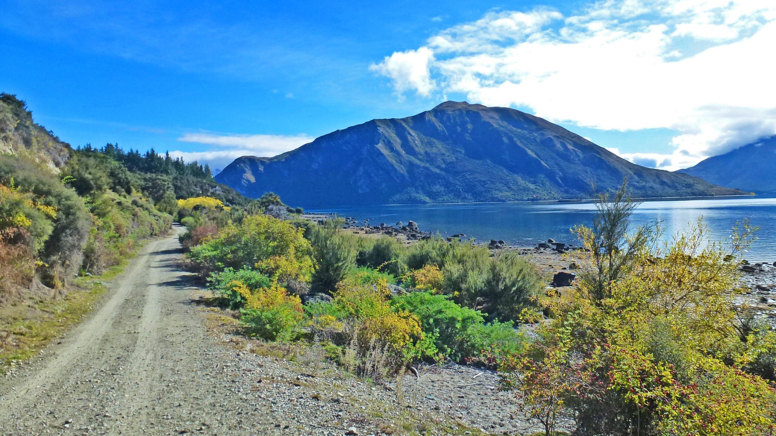 A scenic view of a dirt path leading along a lakeside, with lush greenery and colorful shrubs on either side. In the background, a majestic mountain rises against a bright blue sky with a few fluffy clouds. The calm lake reflects the landscape, creating a serene outdoor environment. Lake Wanaka Outlet Track mountain bike trail.