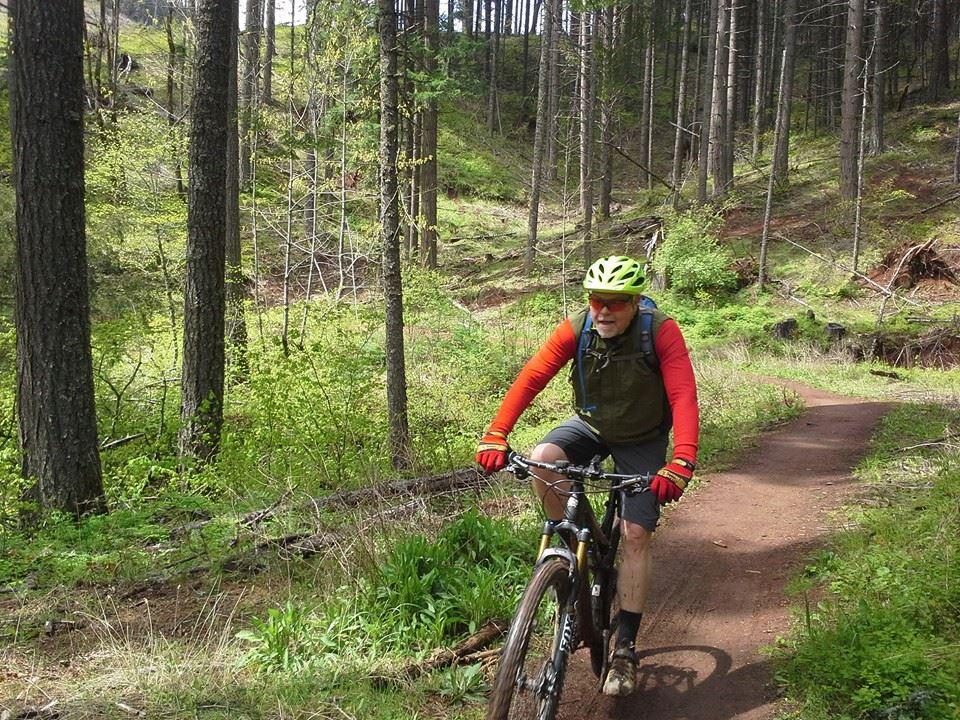 Intense Spider 29 Comp: A cyclist wearing a bright red long-sleeve shirt, green vest, and helmet rides a mountain bike along a dirt trail in a lush forest. Tall trees and vibrant green foliage surround the path, indicating a sunny day in a natural setting.
