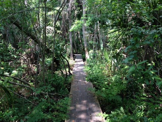  Turkey Creek mountain bike trail.