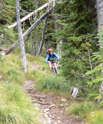 A person riding a mountain bike along a narrow, rocky trail in a forested area. Surrounding trees and tall grass are visible, creating a lush green backdrop. The rider is wearing a blue jacket and a red helmet, navigating through the natural landscape.