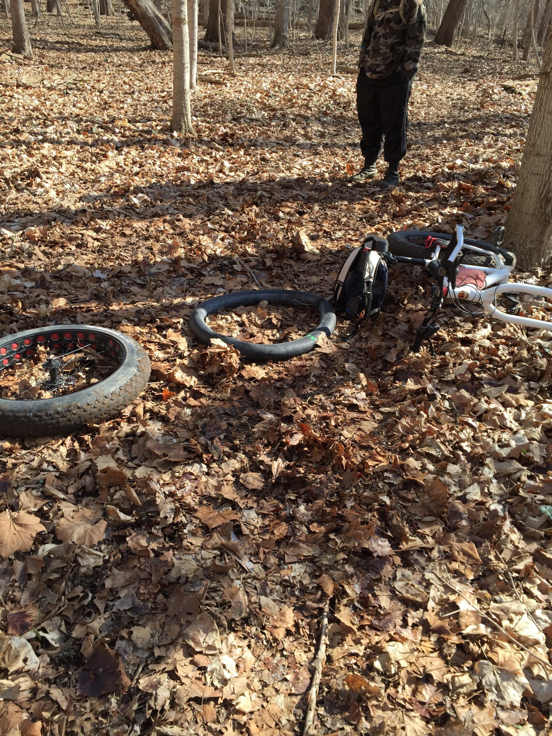 Motobecane NightTrain Bullet: A wooded area covered in dried leaves, with several bicycle tires and a bicycle on the ground. A person in camouflage clothing stands nearby.
