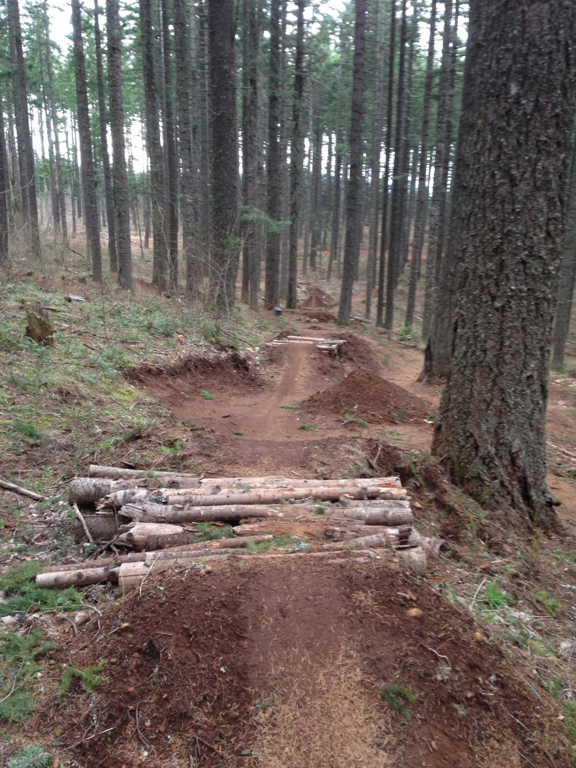 A dirt bike trail winding through a forest, featuring wooden log structures as jumps. Tall trees line the sides of the trail, which is surrounded by earthy terrain and sparse underbrush. The scene captures a tranquil yet adventurous atmosphere in a natural setting. Post Canyon mountain bike trail.
