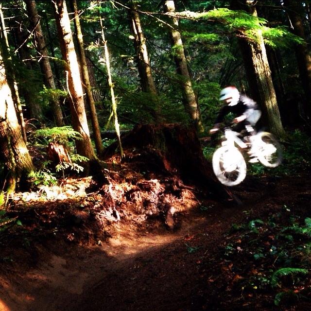 A mountain biker in motion jumps off a dirt ramp in a forested area, with sunlight filtering through the trees. The bike has white wheels, and the rider is wearing protective gear and a helmet. Surrounding foliage includes green leaves and a large tree stump. Sandy Ridge mountain bike trail.