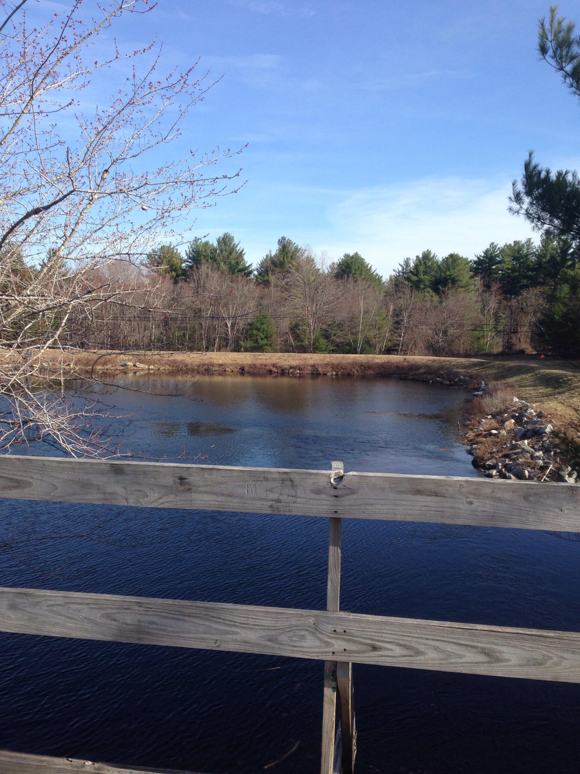 A serene view of a calm river surrounded by trees, captured from a wooden rail. The scene features clear blue skies, a mixture of barren and green trees lining the riverbanks, and the water reflecting the sky. Depot Road Singletracks/FOMBA mountain bike trail.