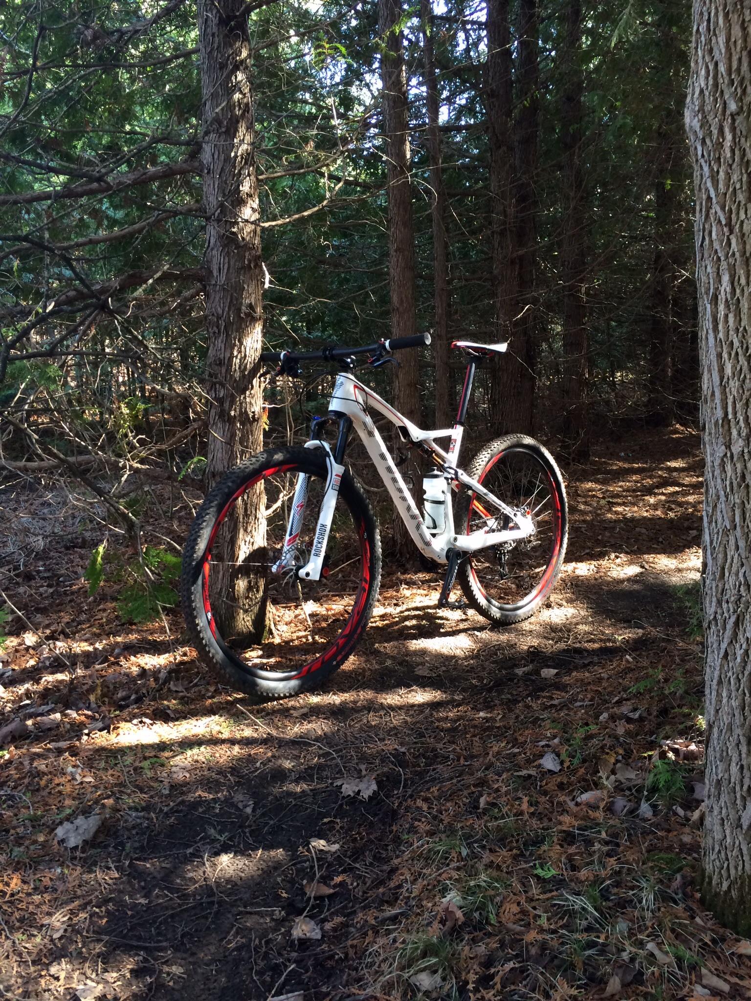 A mountain bike leaned against a tree on a dirt trail in a forest, surrounded by tall trees and dry leaves scattered on the ground, with sunlight filtering through the foliage. Puslinch Lake mountain bike trail.